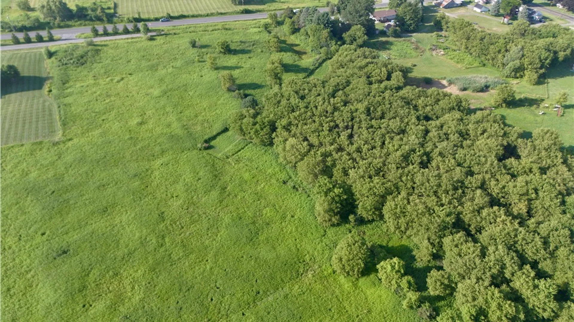 Property at 9046 Tibbitts, New Hartford, NY 13413 3