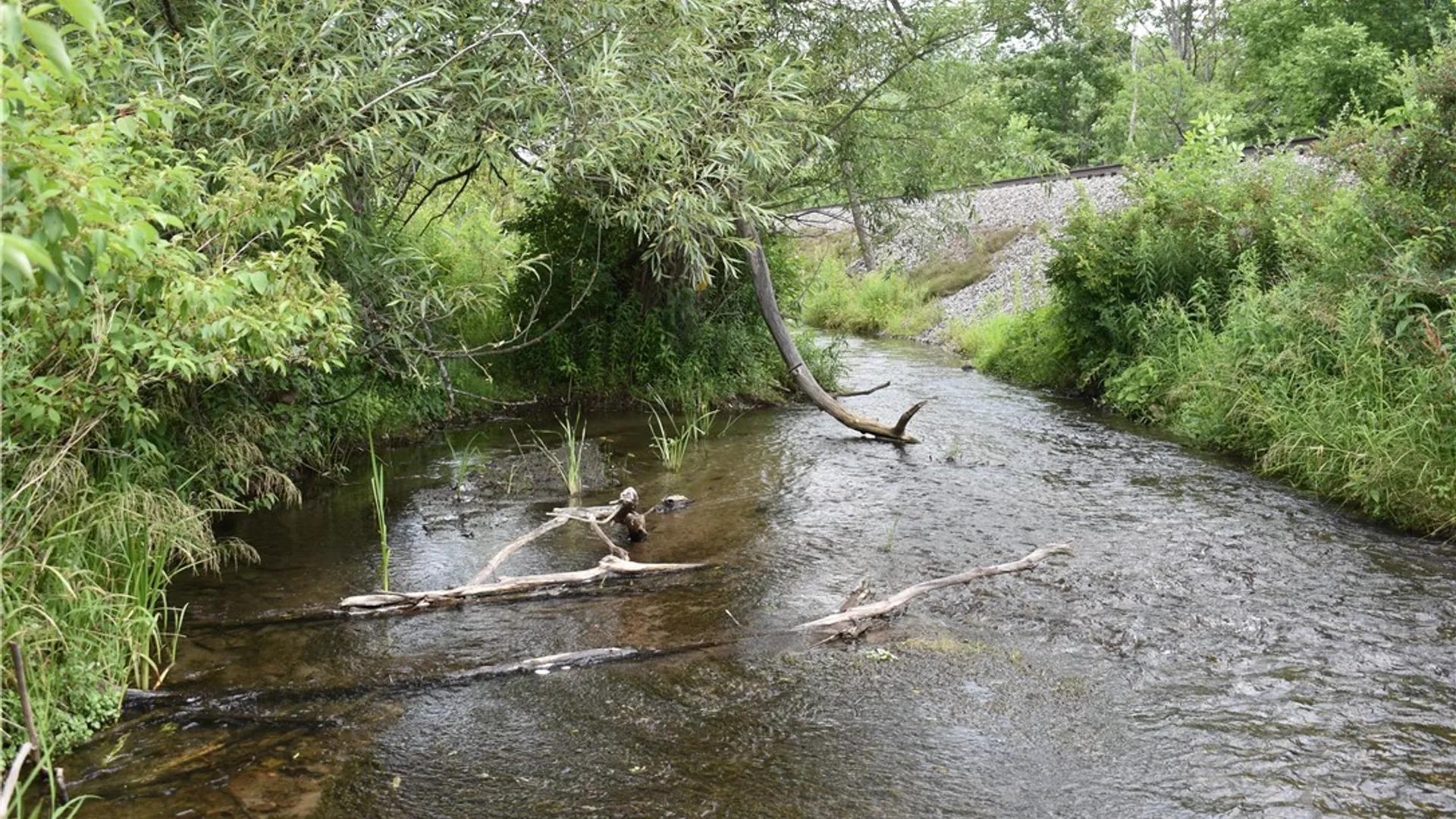 Property at 10568 Rt-16, Yorkshire, NY 14030 10