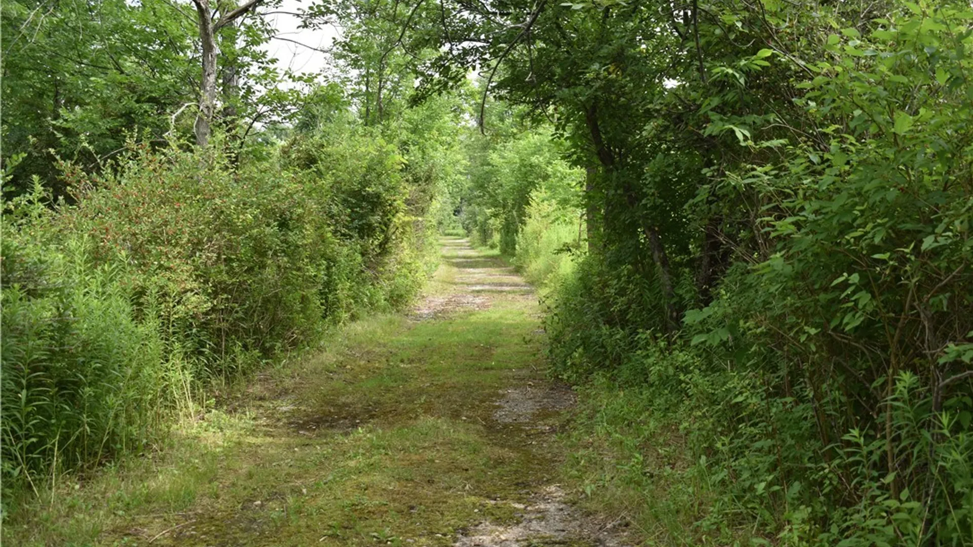 Property at 10568 Rt-16, Yorkshire, NY 14030 11