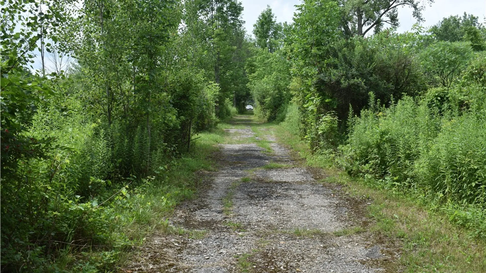 Property at 10568 Rt-16, Yorkshire, NY 14030 12