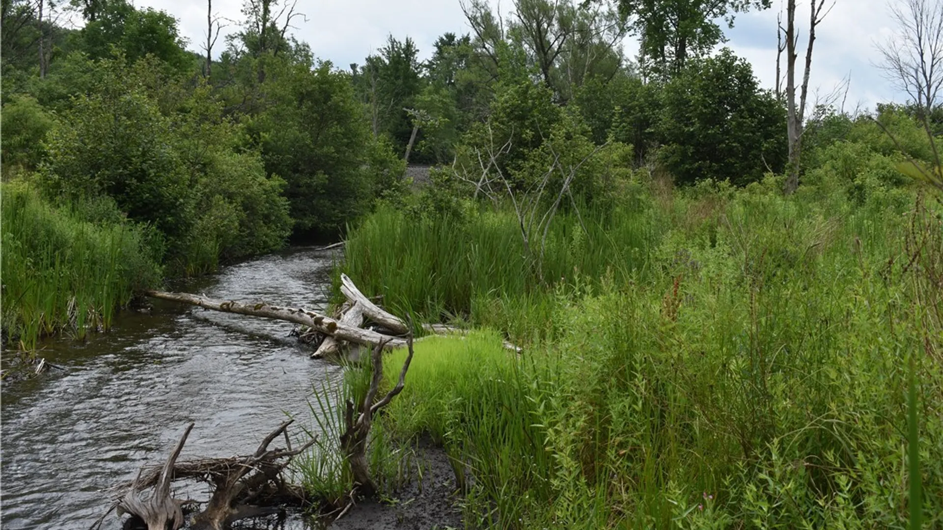 Property at 10568 Rt-16, Yorkshire, NY 14030 13