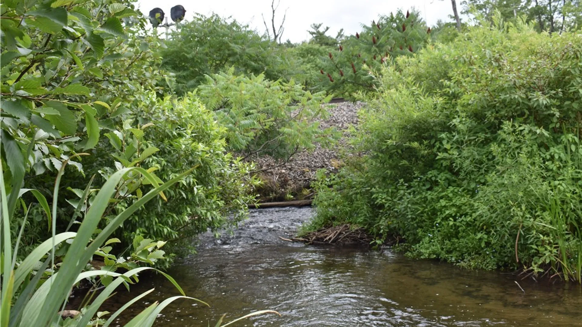 Property at 10568 Rt-16, Yorkshire, NY 14030 14