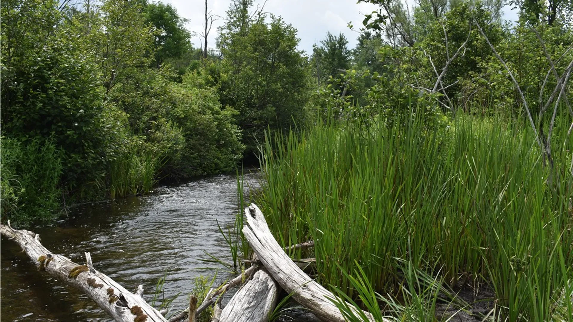 Property at 10568 Rt-16, Yorkshire, NY 14030 15