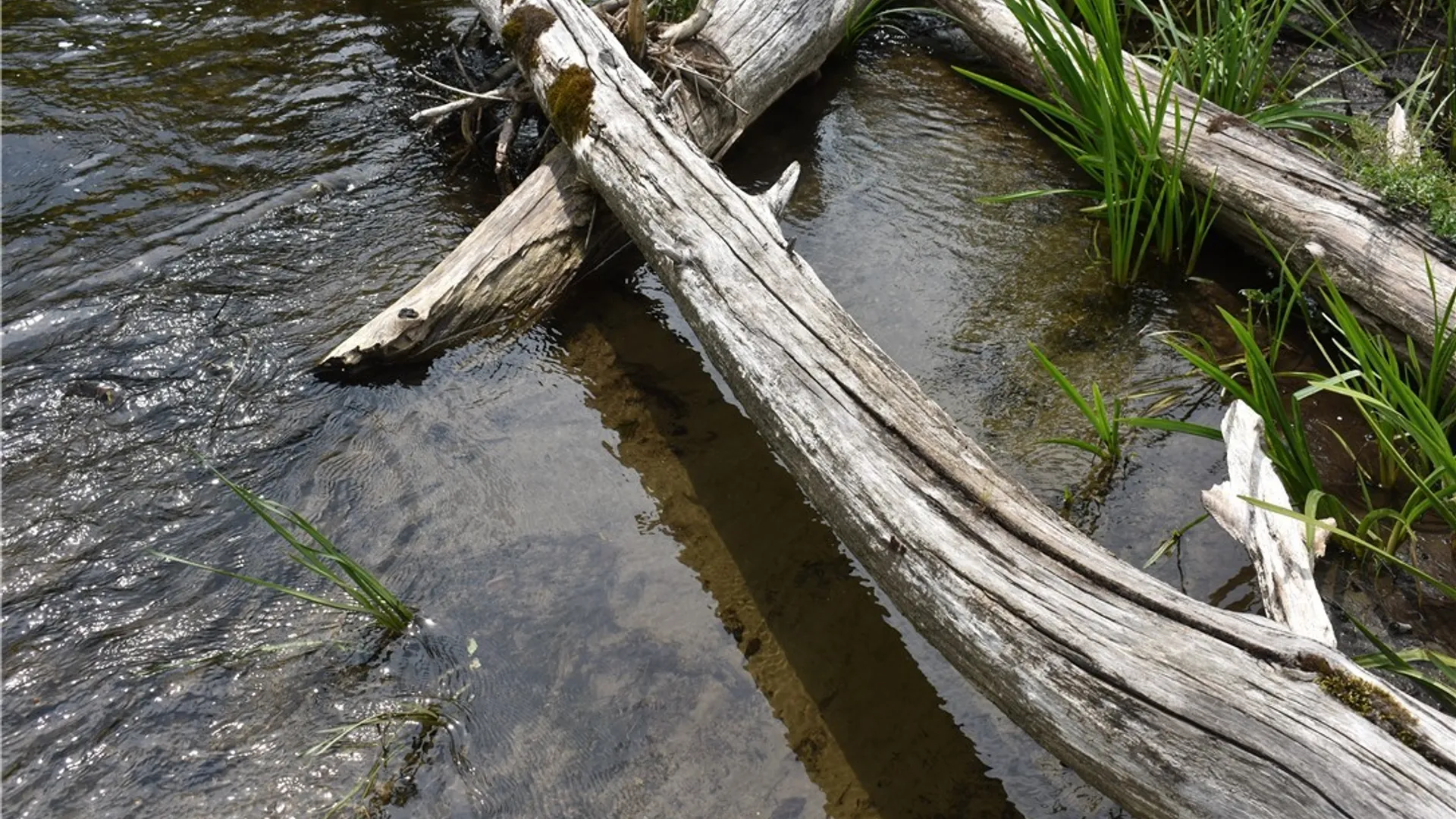 Property at 10568 Rt-16, Yorkshire, NY 14030 16