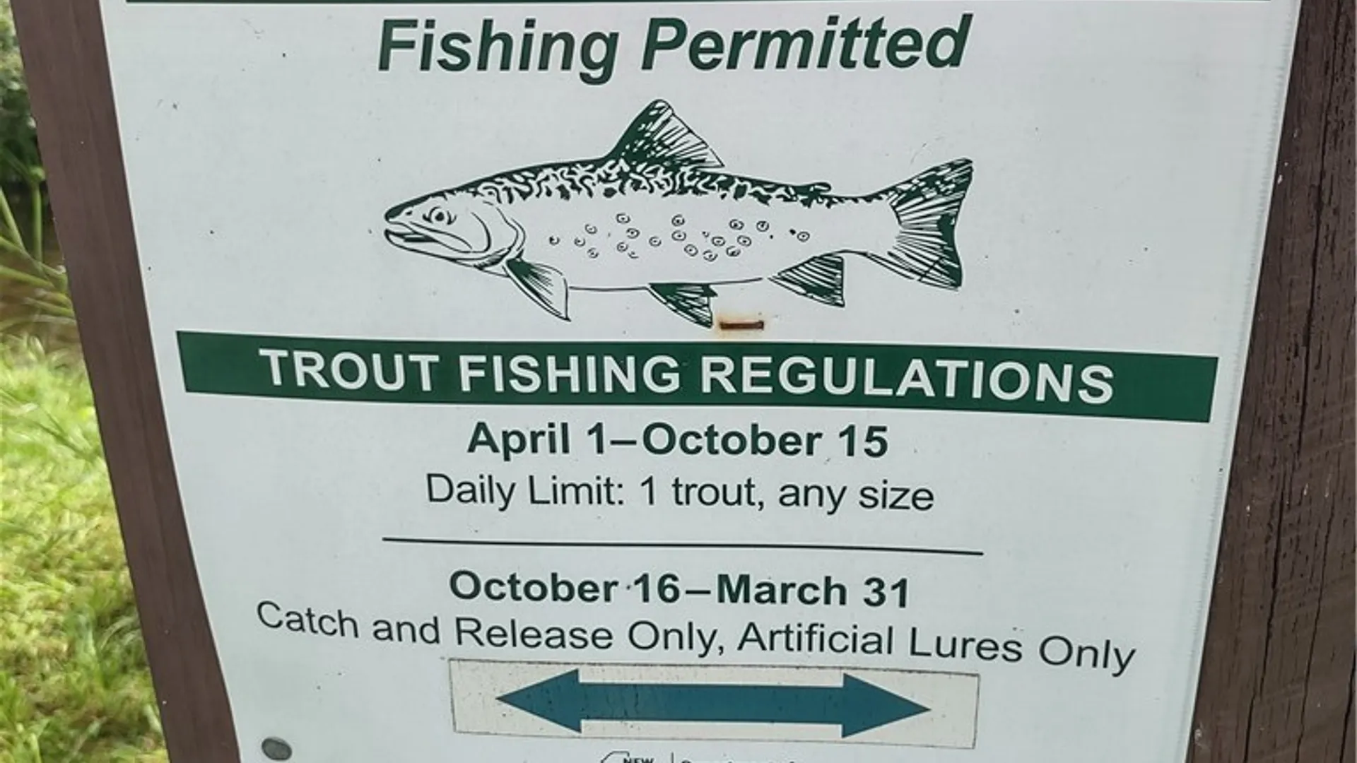 Property at 10568 Rt-16, Yorkshire, NY 14030 18