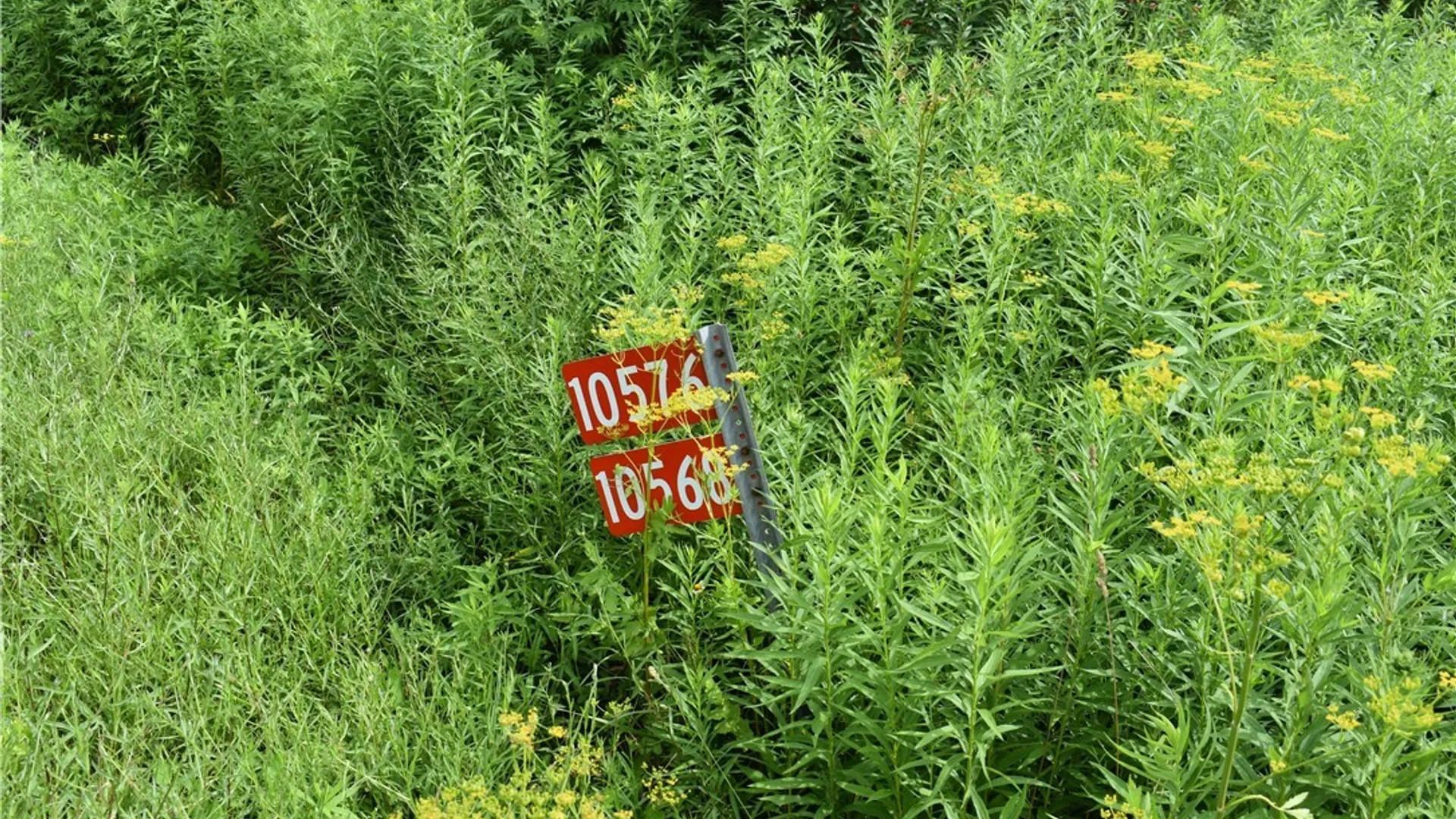 Property at 10568 Rt-16, Yorkshire, NY 14030 3