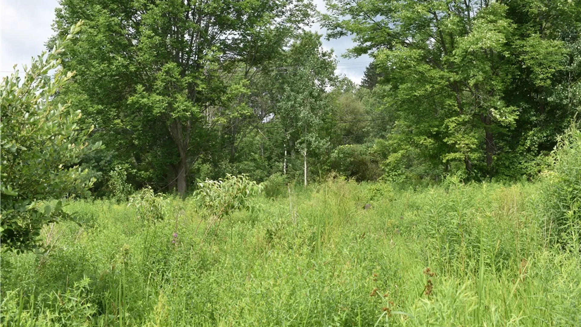 Property at 10568 Rt-16, Yorkshire, NY 14030 7