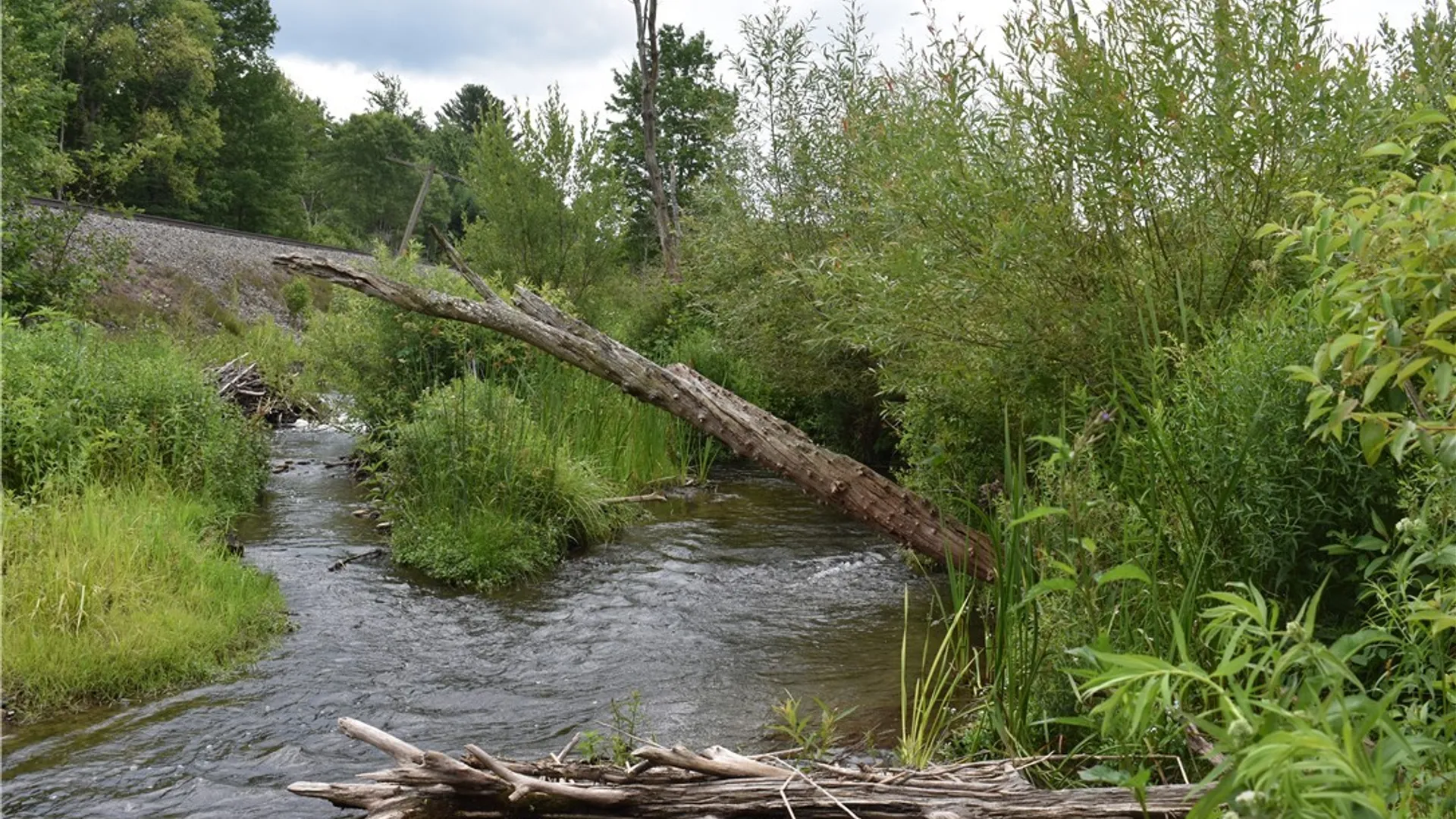 Property at 10568 Rt-16, Yorkshire, NY 14030 9