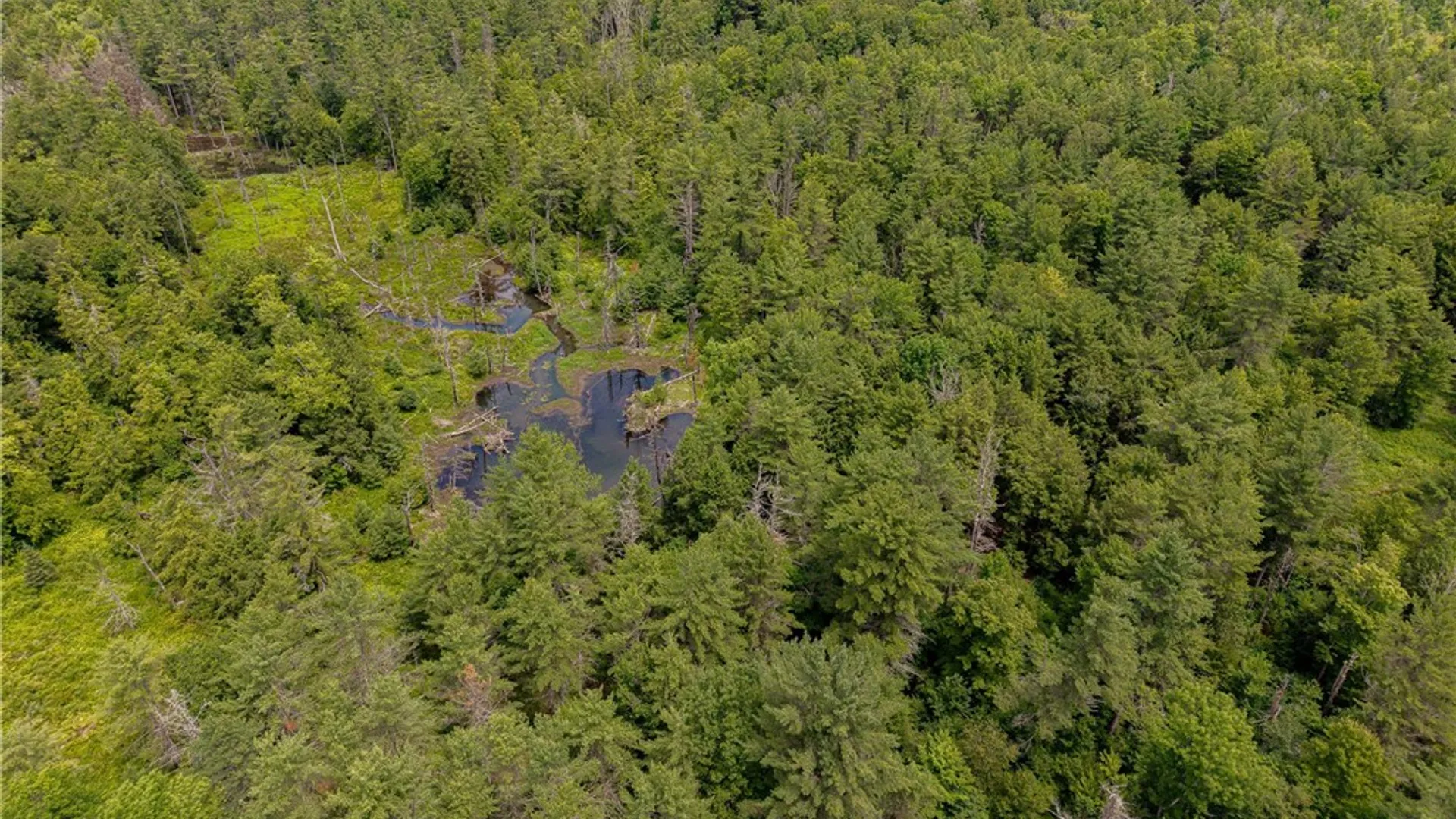 Property at Sheff Road, New Berlin, NY 13843 11