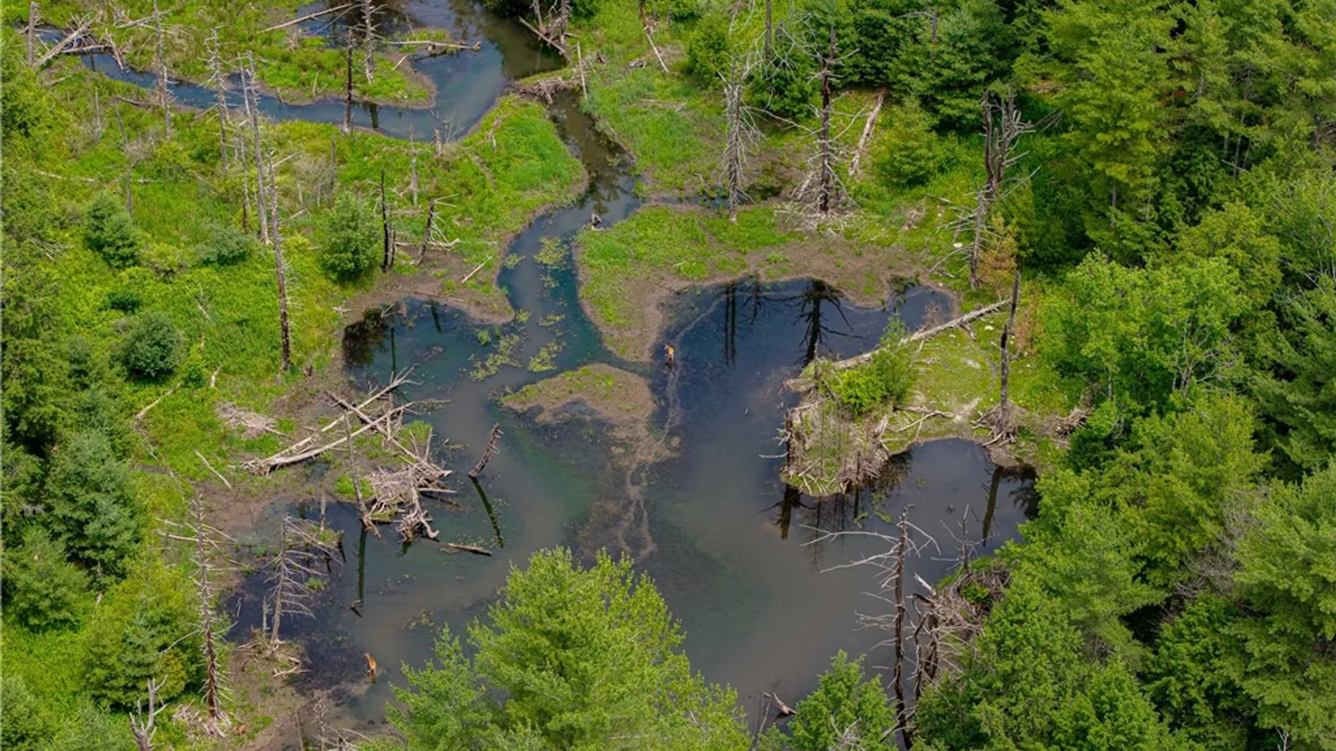 Property at Sheff Road, New Berlin, NY 13843 12