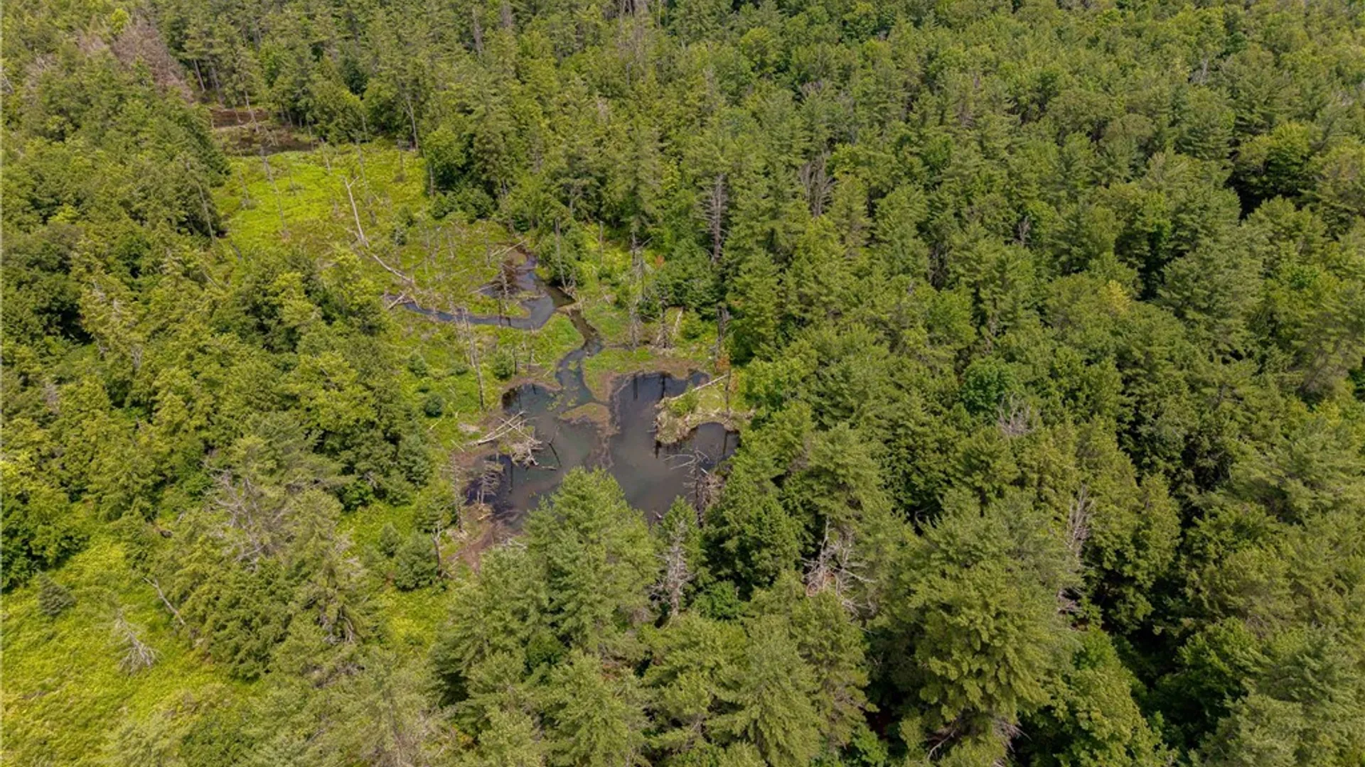 Property at Sheff Road, New Berlin, NY 13843 14