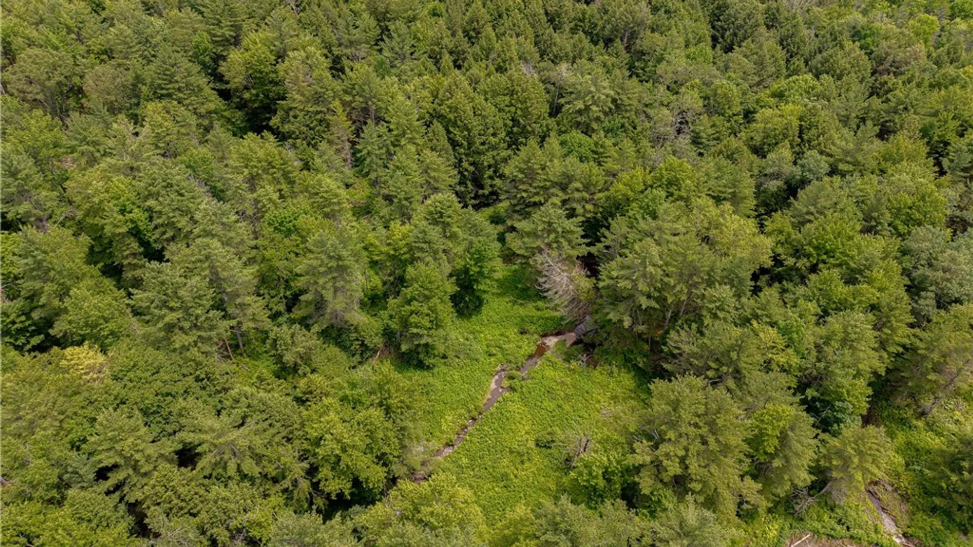 Property at Sheff Road, New Berlin, NY 13843 15