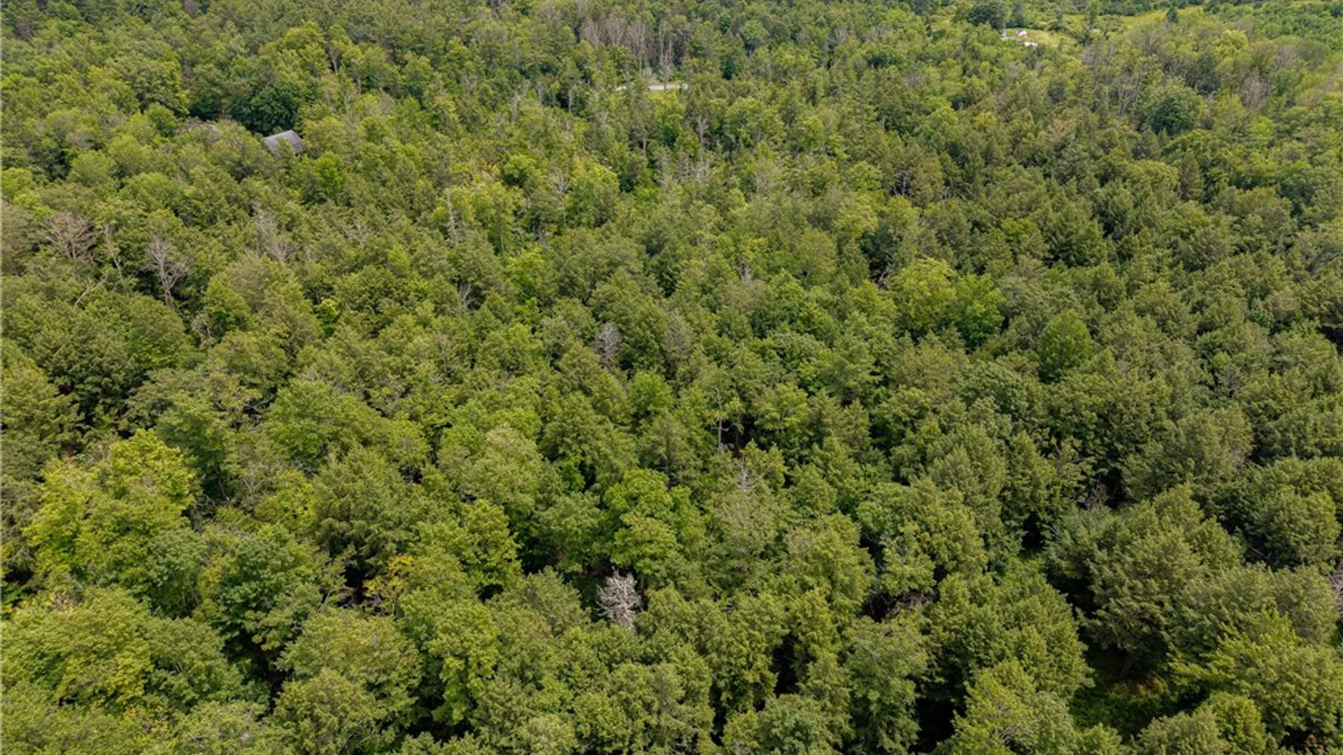 Property at Sheff Road, New Berlin, NY 13843 16