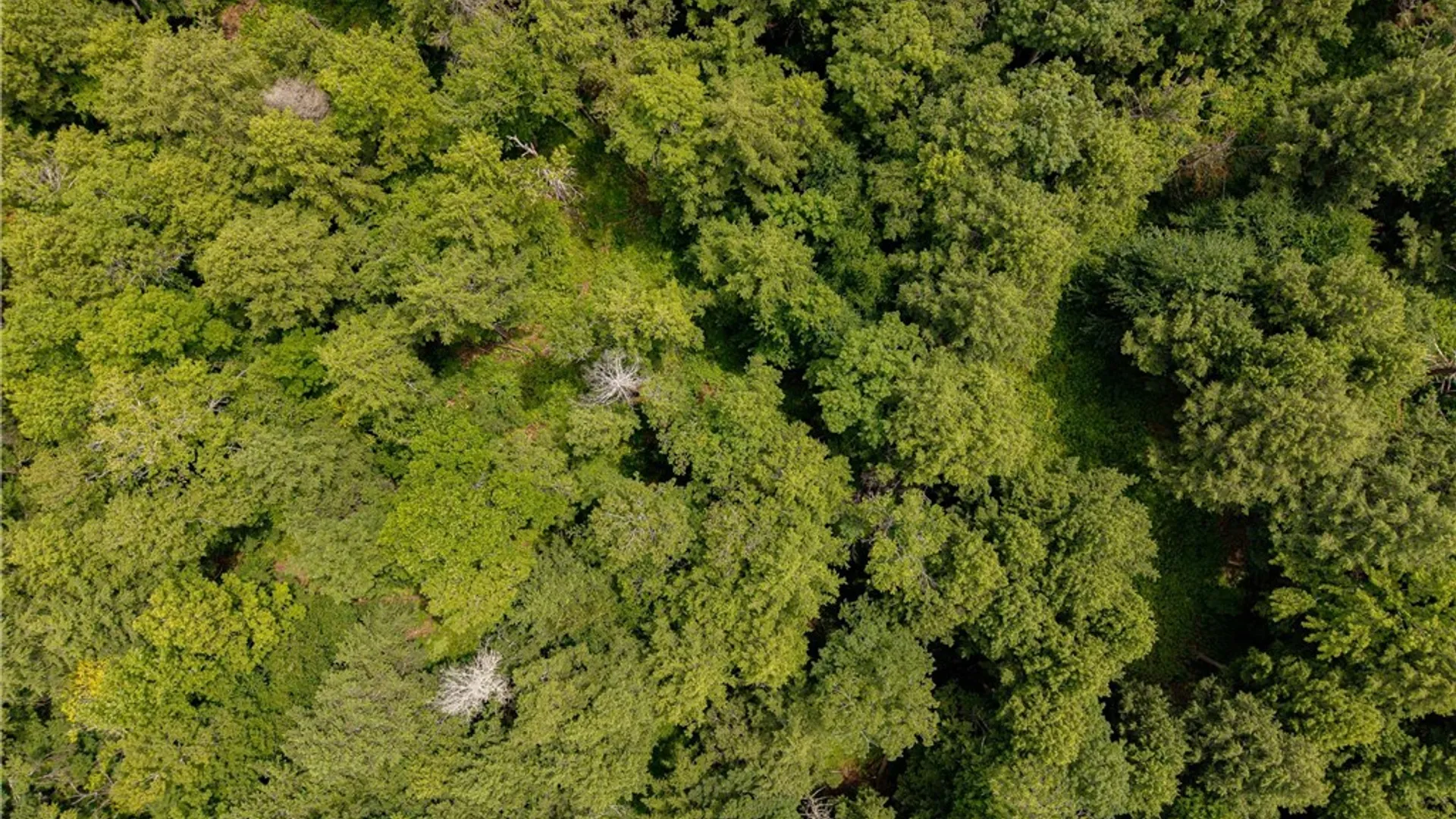 Property at Sheff Road, New Berlin, NY 13843 18