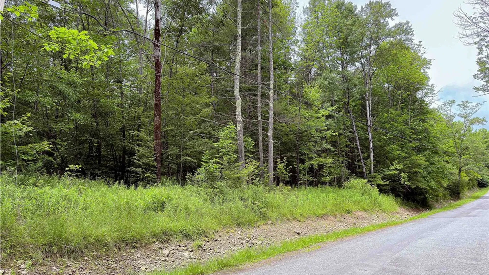 Property at Sheff Road, New Berlin, NY 13843 2