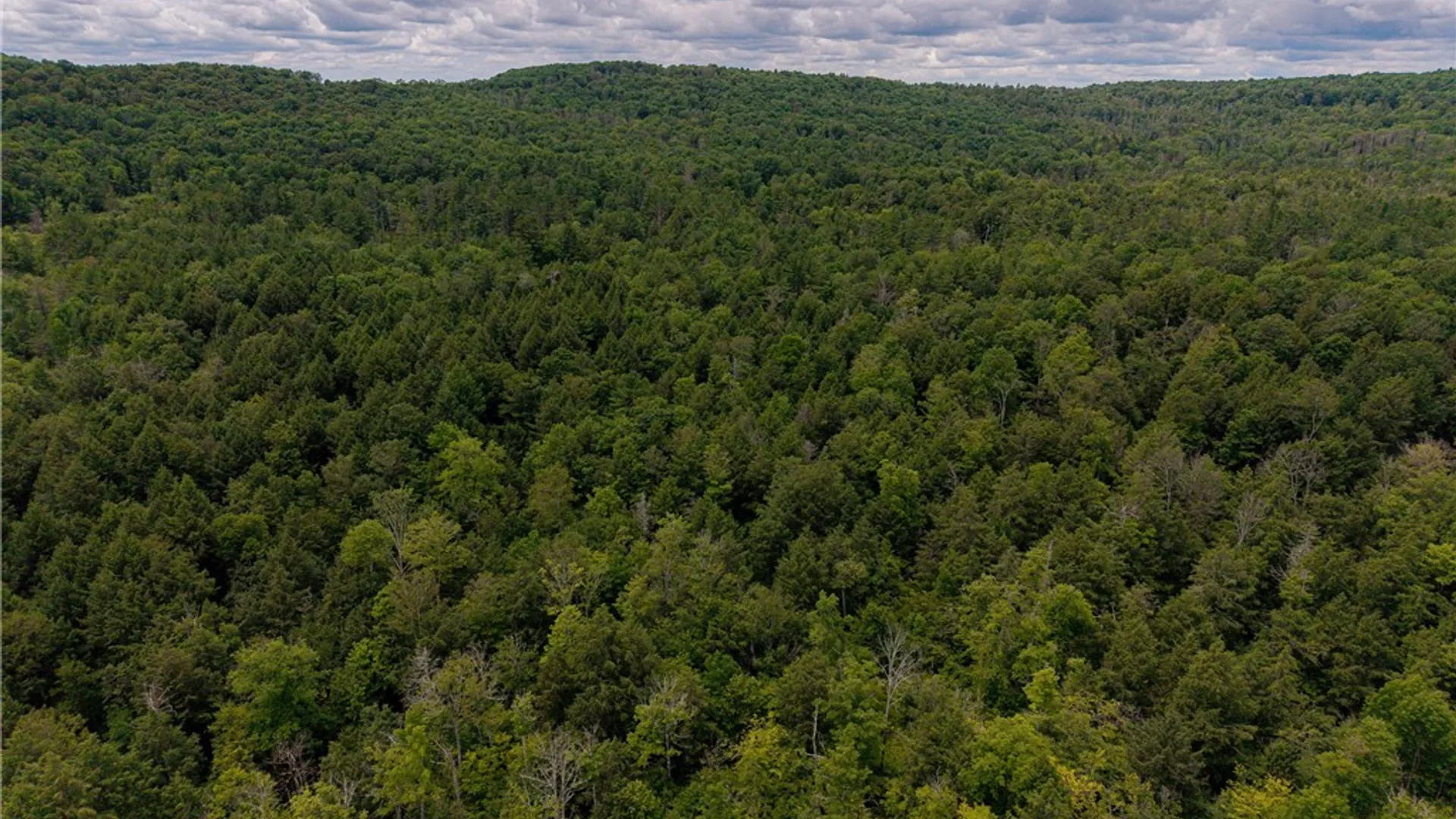 Property at Sheff Road, New Berlin, NY 13843 21