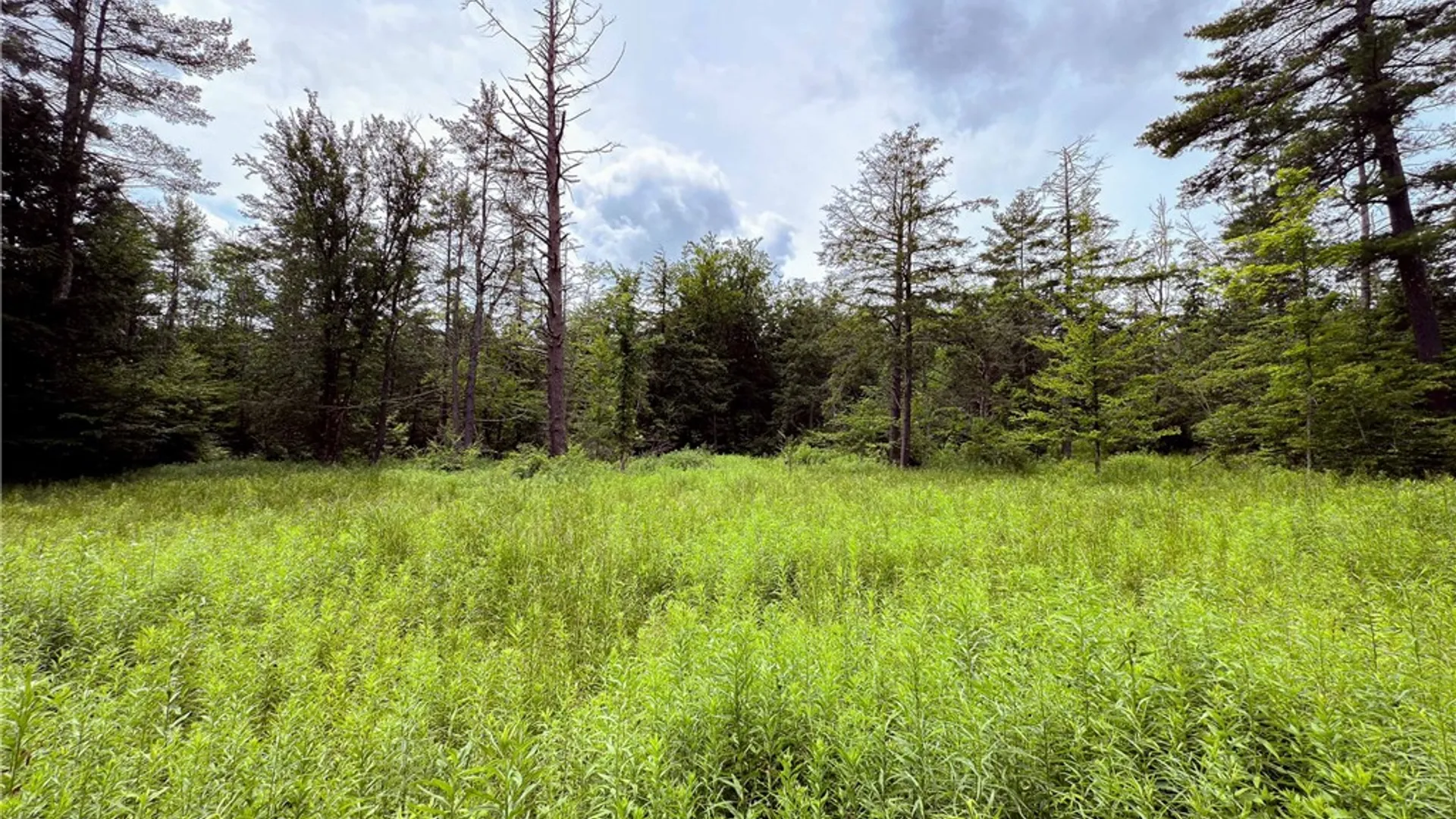 Property at Sheff Road, New Berlin, NY 13843 24