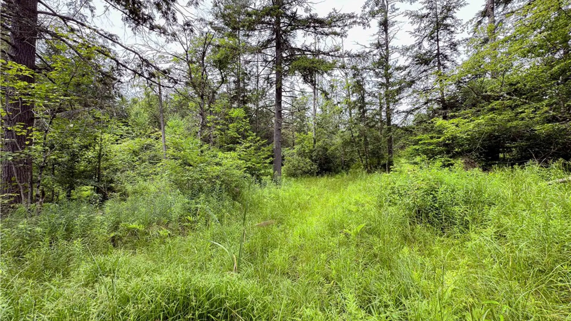 Property at Sheff Road, New Berlin, NY 13843 25