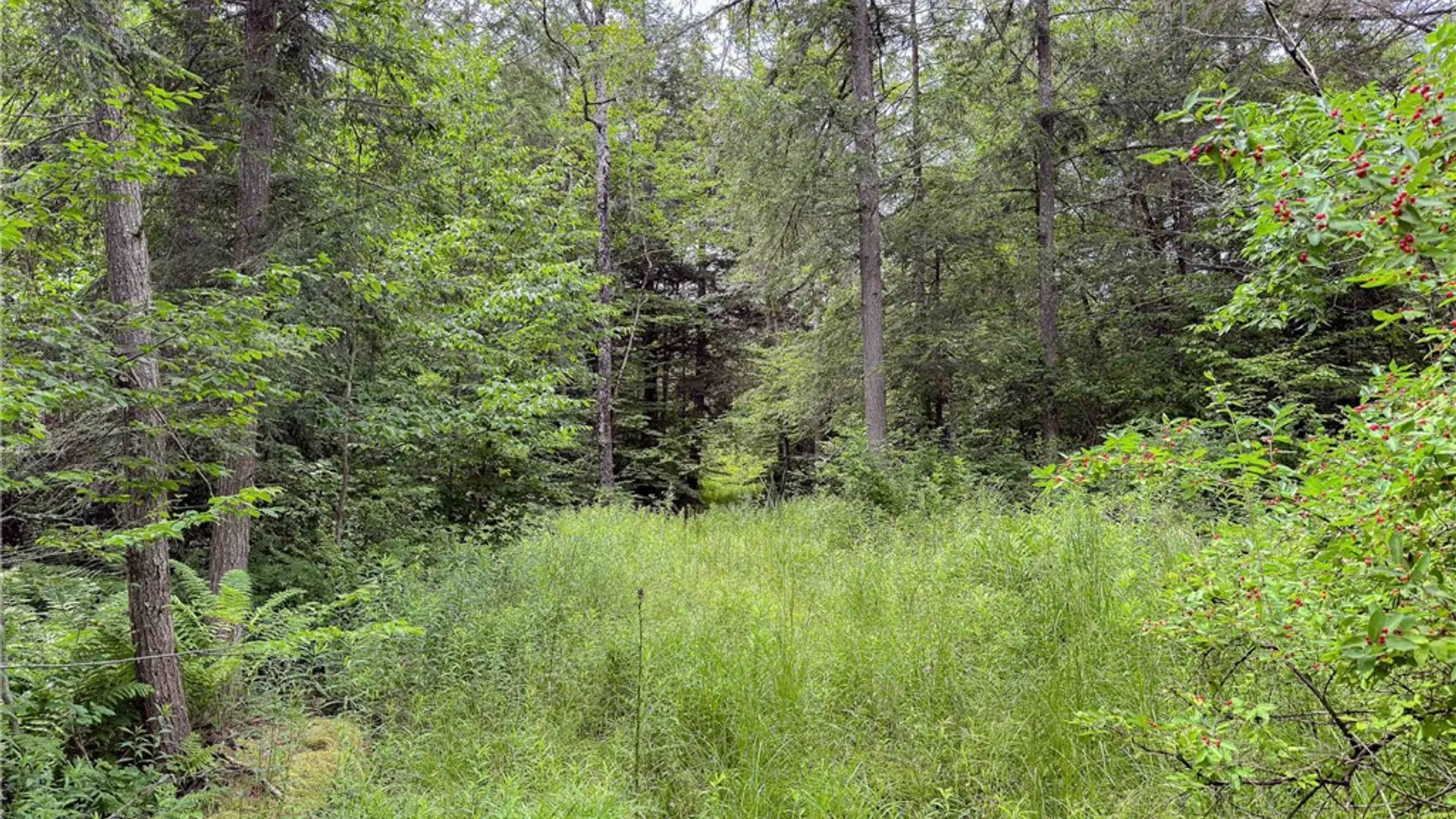 Property at Sheff Road, New Berlin, NY 13843 26