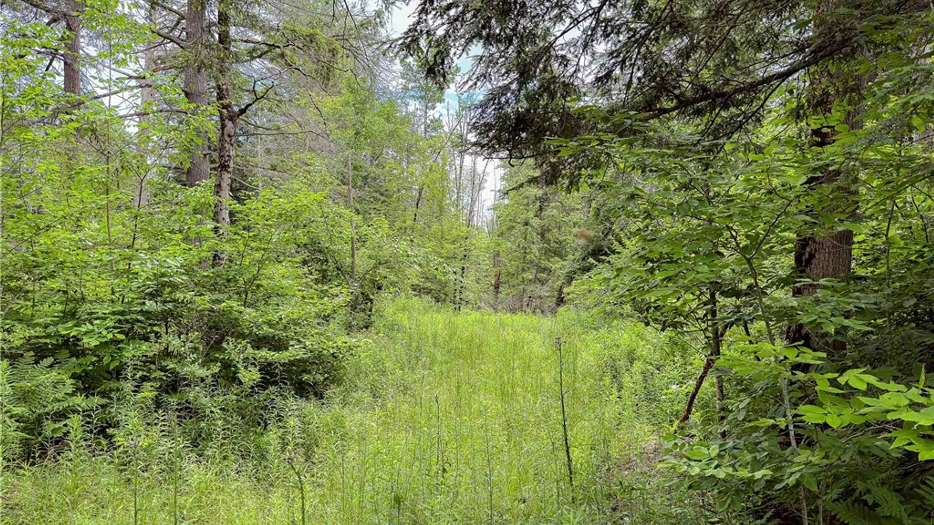 Property at Sheff Road, New Berlin, NY 13843 27