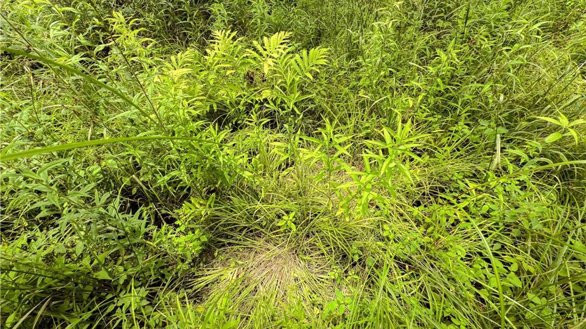 Property at Sheff Road, New Berlin, NY 13843 28