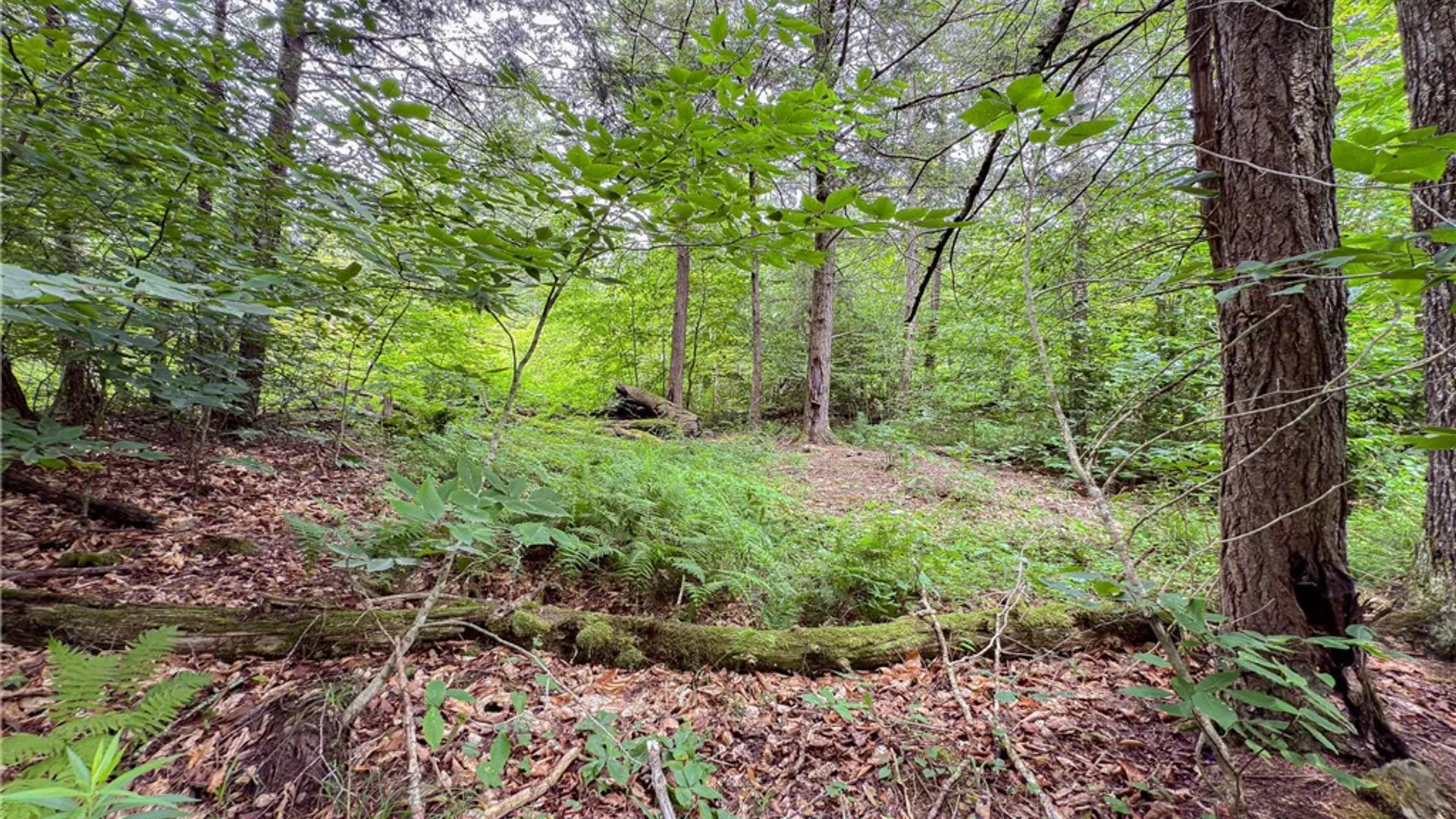 Property at Sheff Road, New Berlin, NY 13843 29