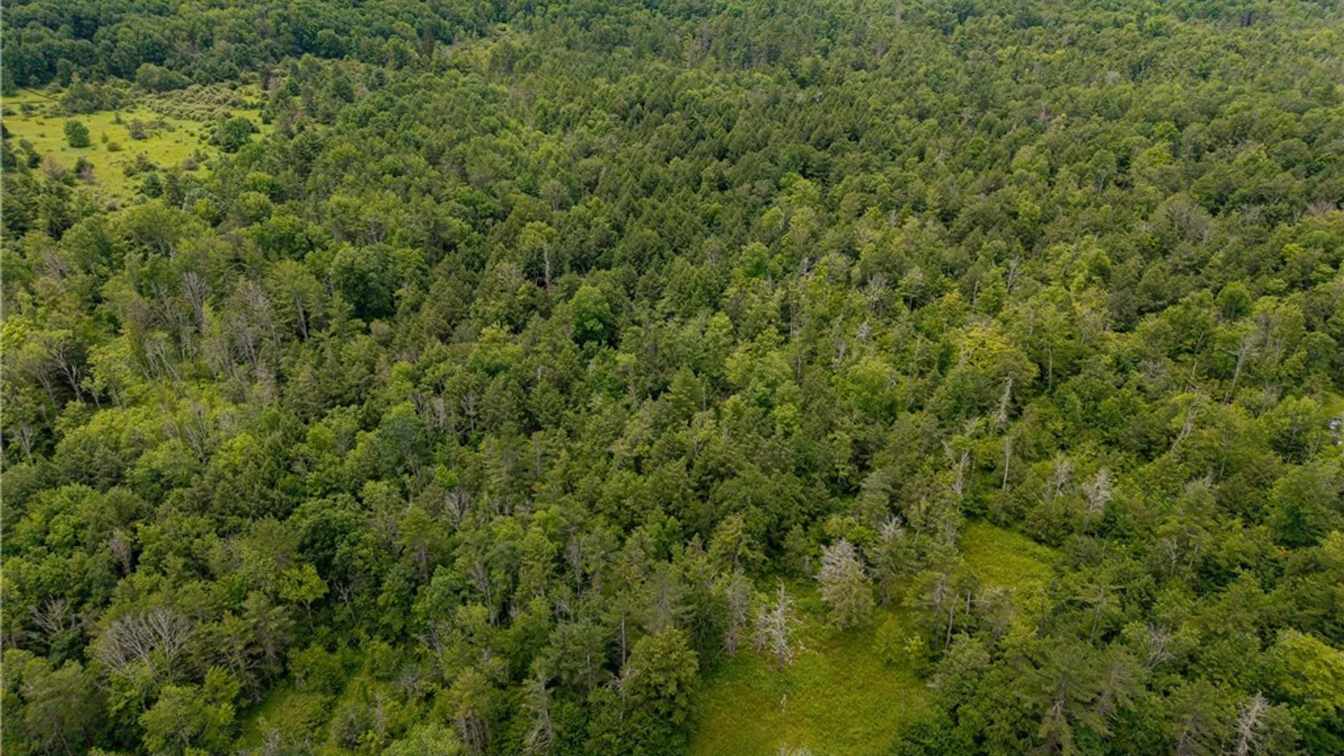 Property at Sheff Road, New Berlin, NY 13843 3