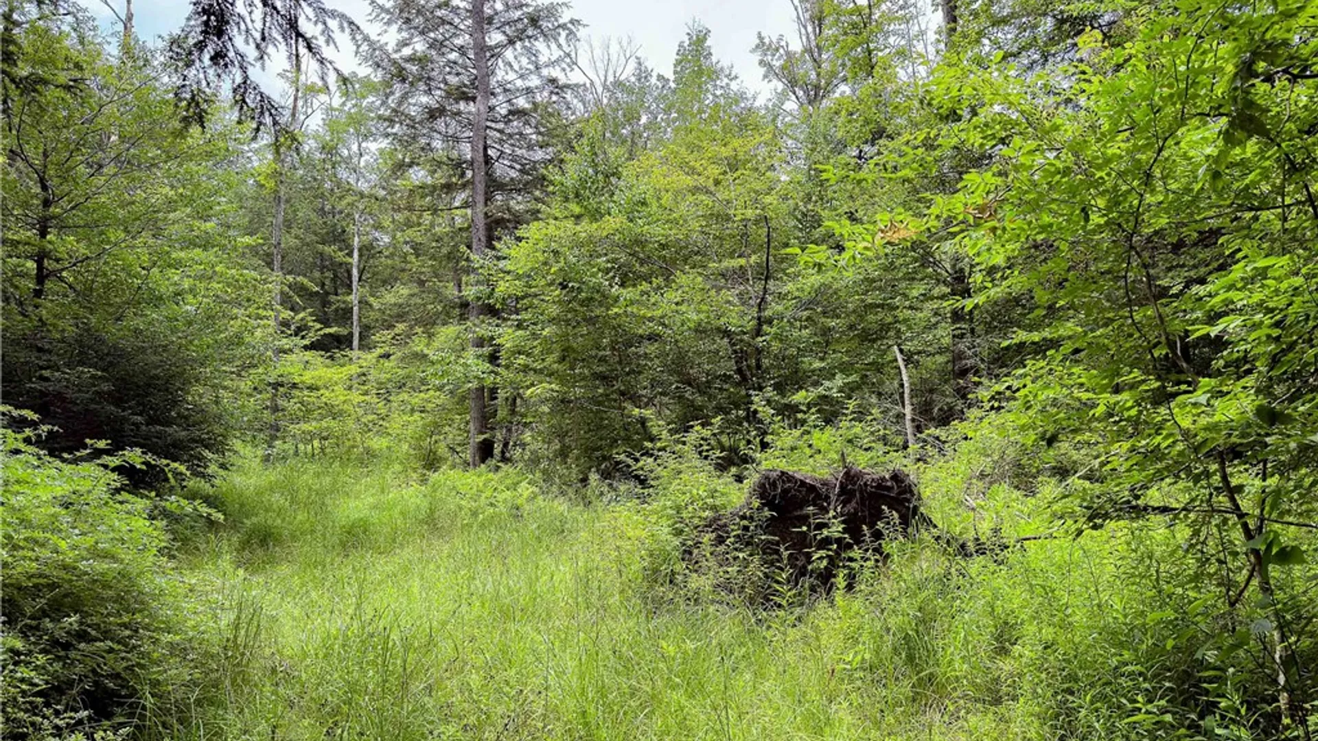 Property at Sheff Road, New Berlin, NY 13843 30