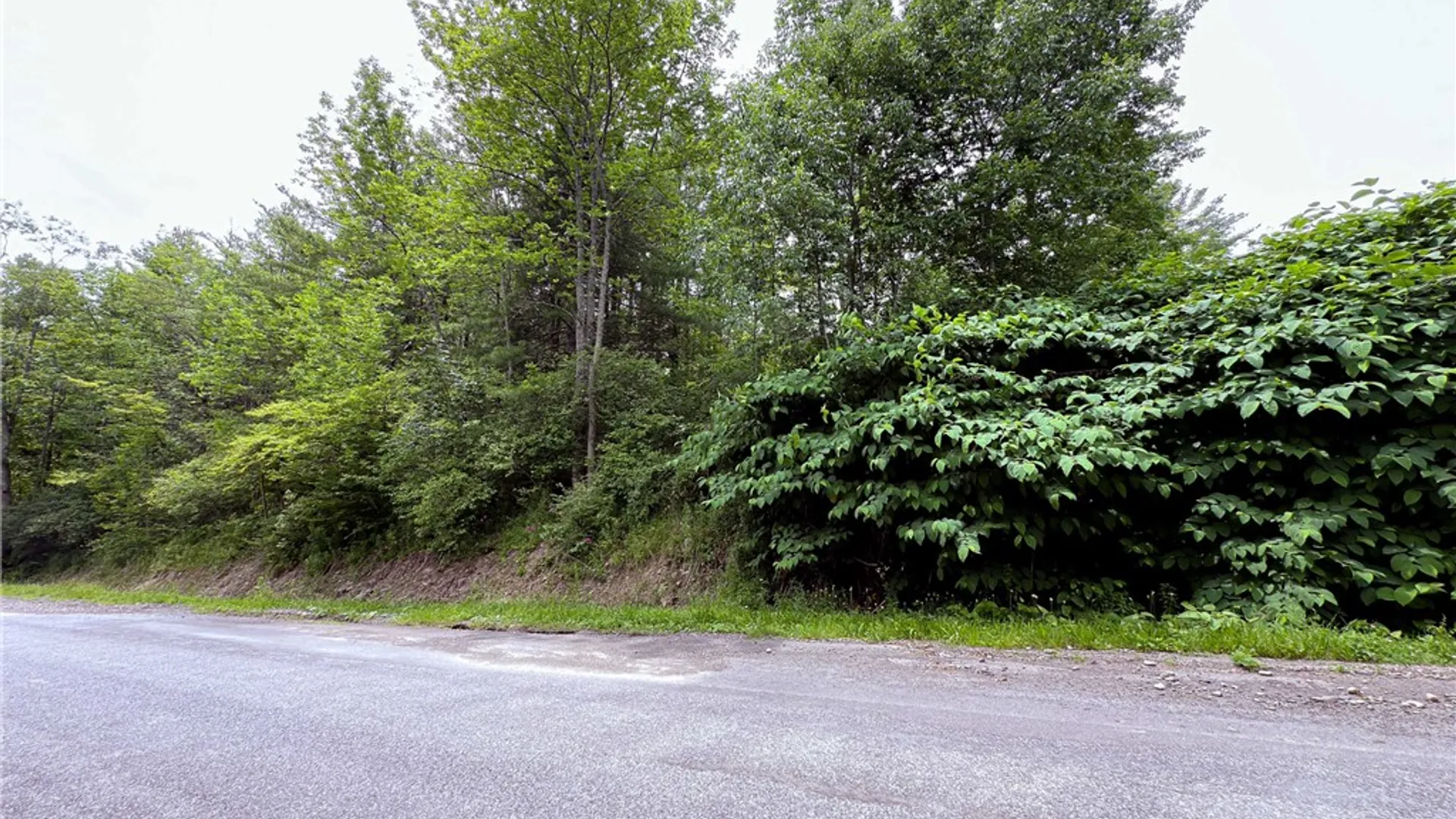 Property at Sheff Road, New Berlin, NY 13843 33