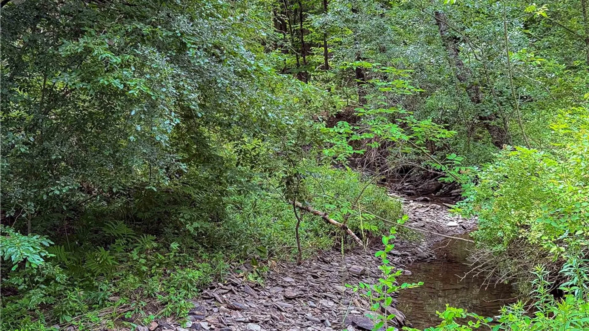 Property at Sheff Road, New Berlin, NY 13843 35