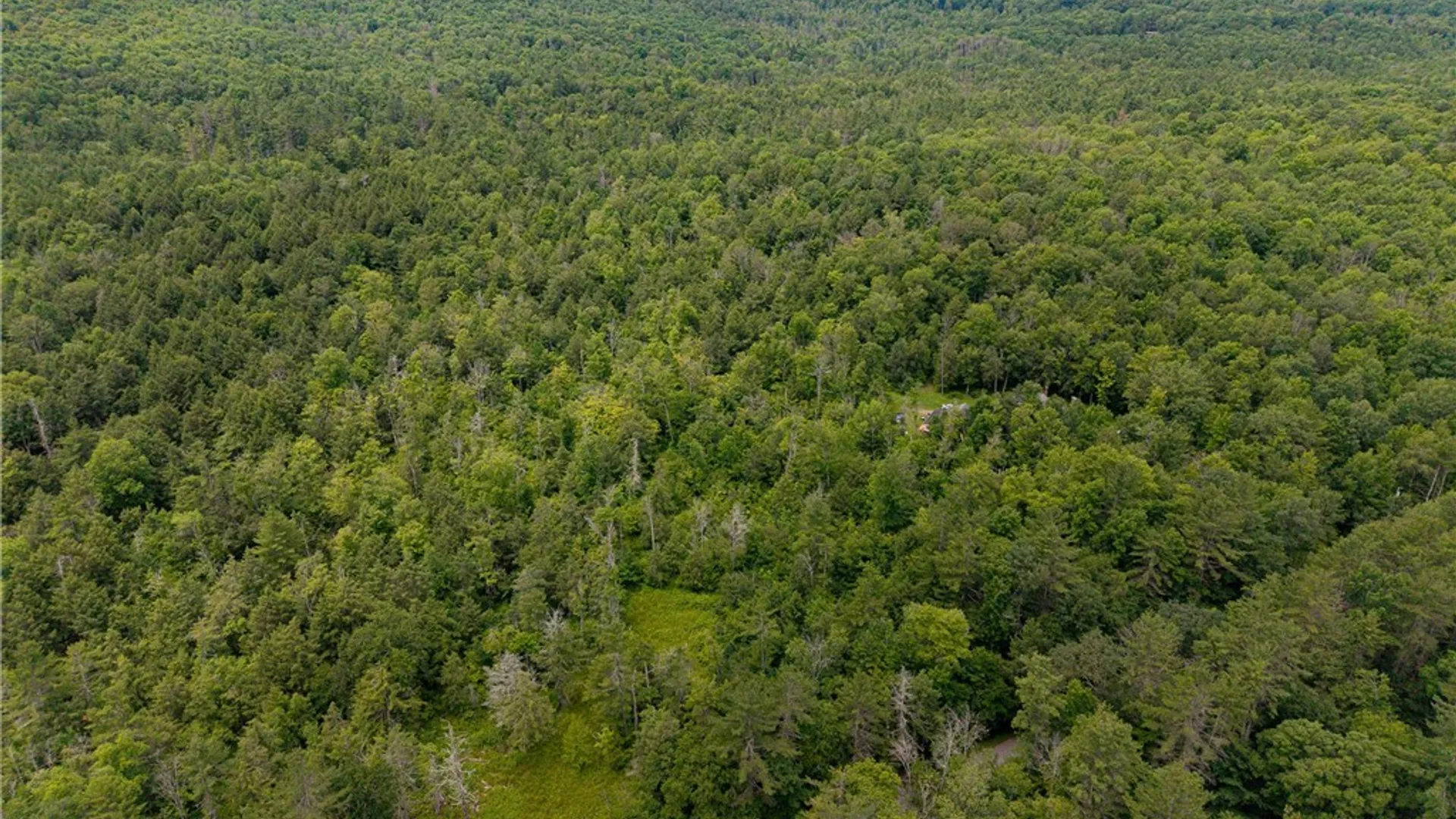 Property at Sheff Road, New Berlin, NY 13843 4