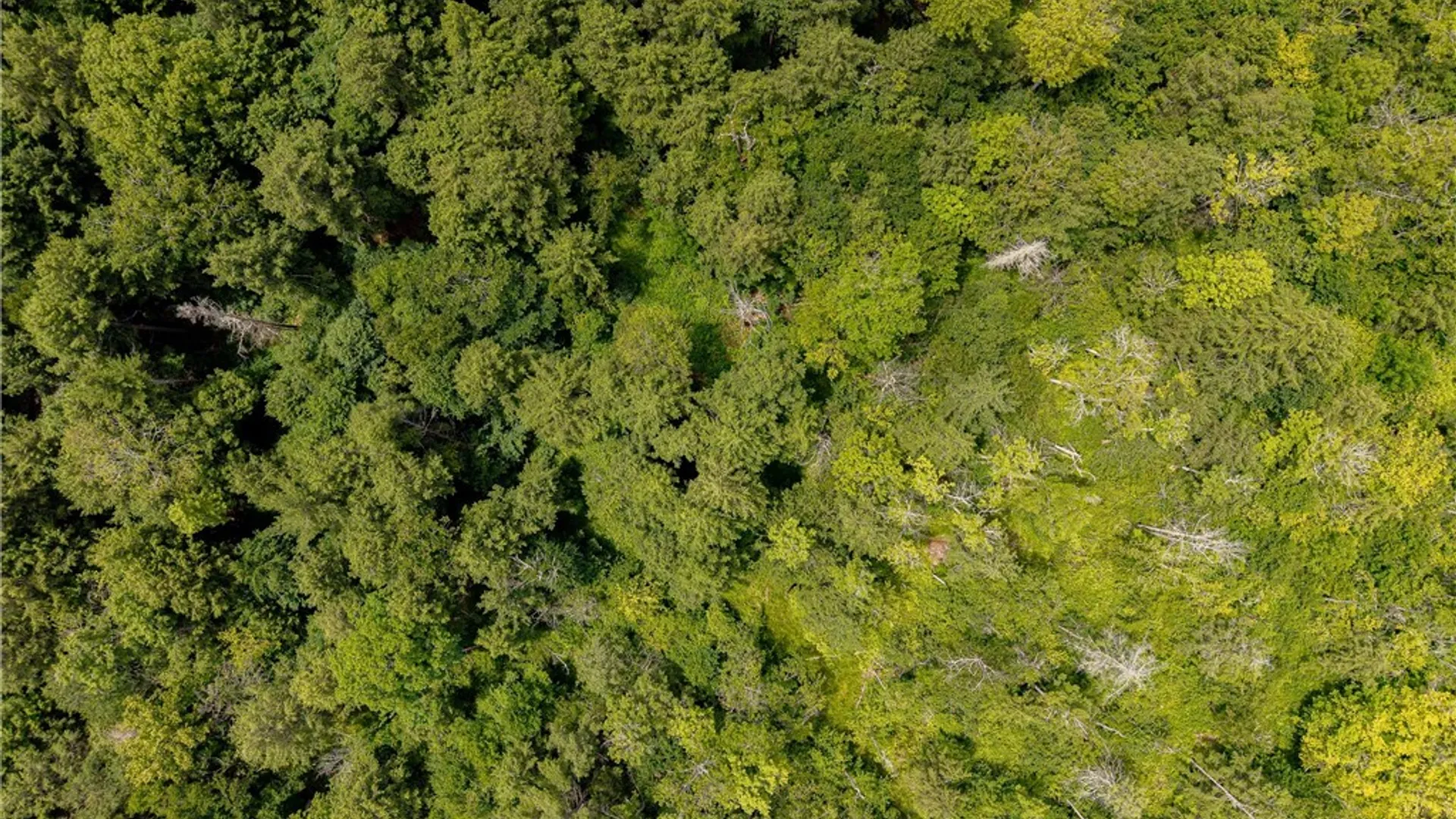 Property at Sheff Road, New Berlin, NY 13843 5