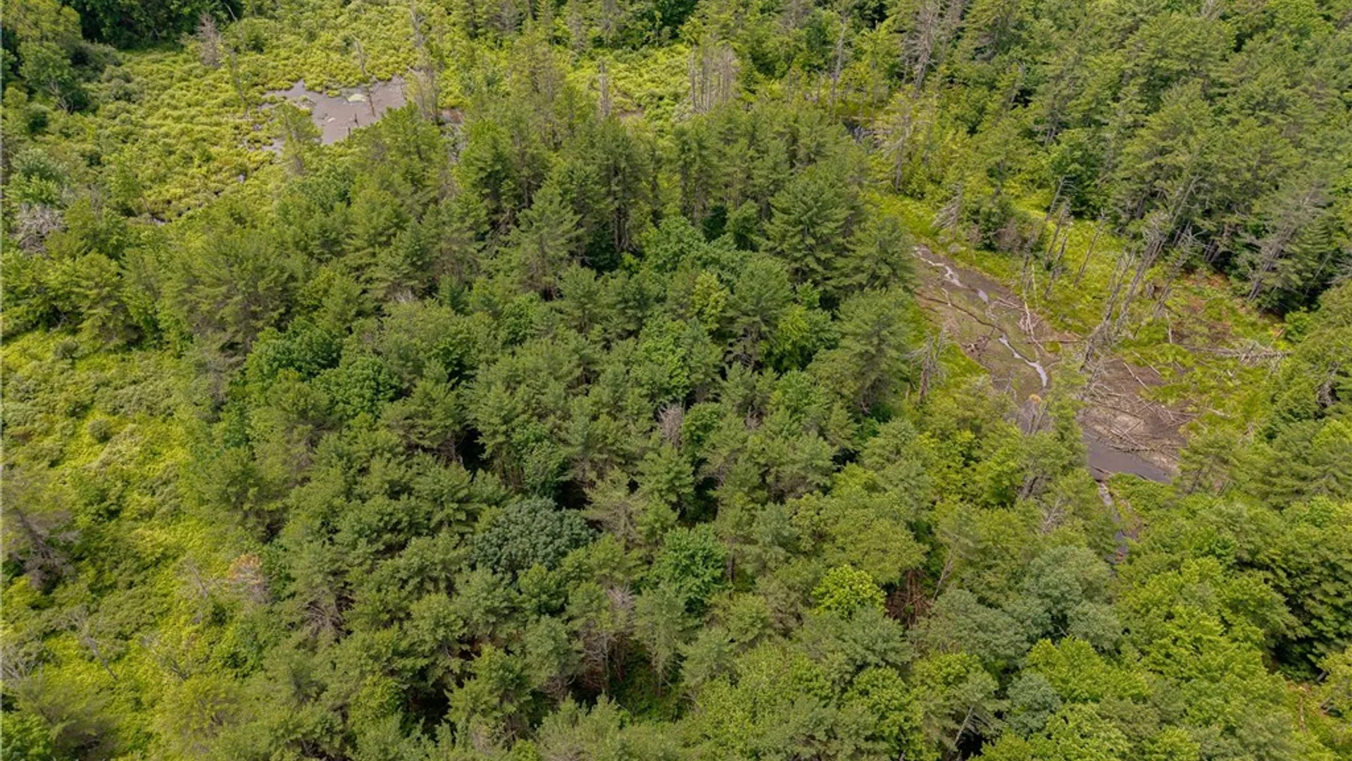 Property at Sheff Road, New Berlin, NY 13843 7