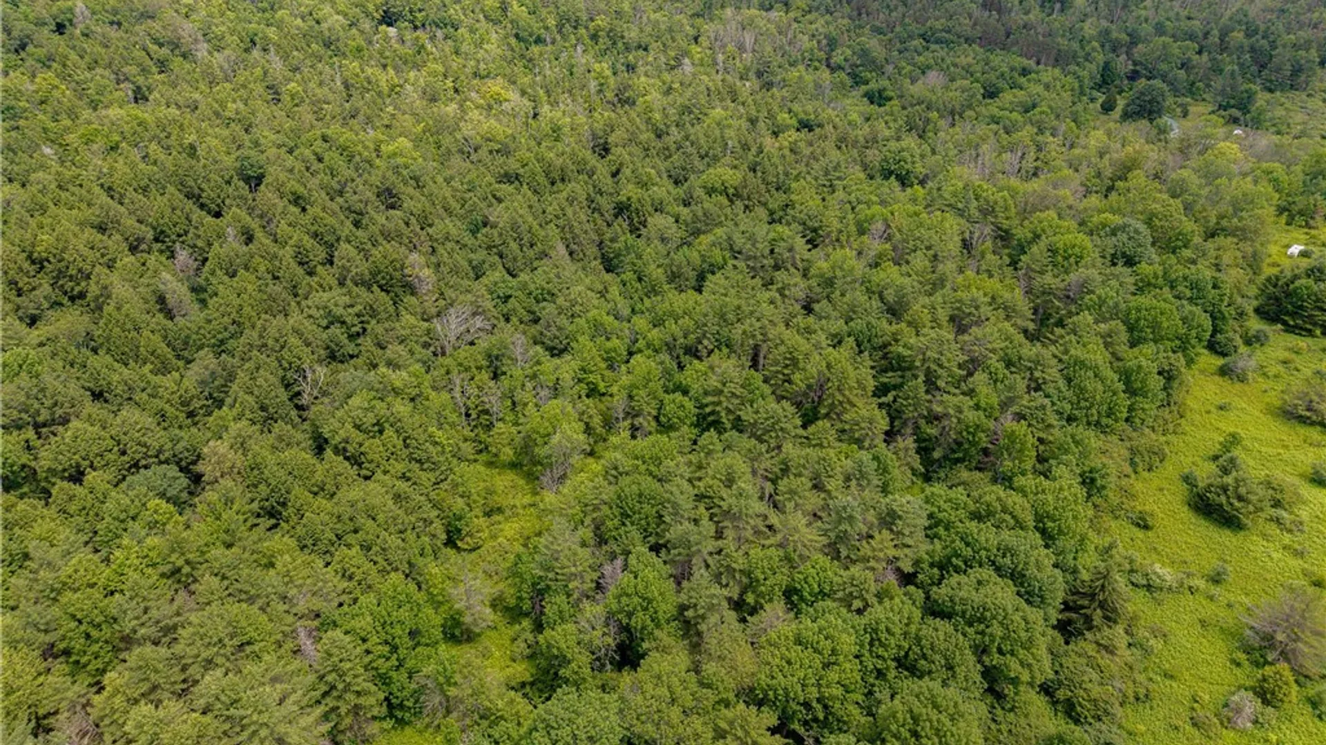 Property at Sheff Road, New Berlin, NY 13843 8