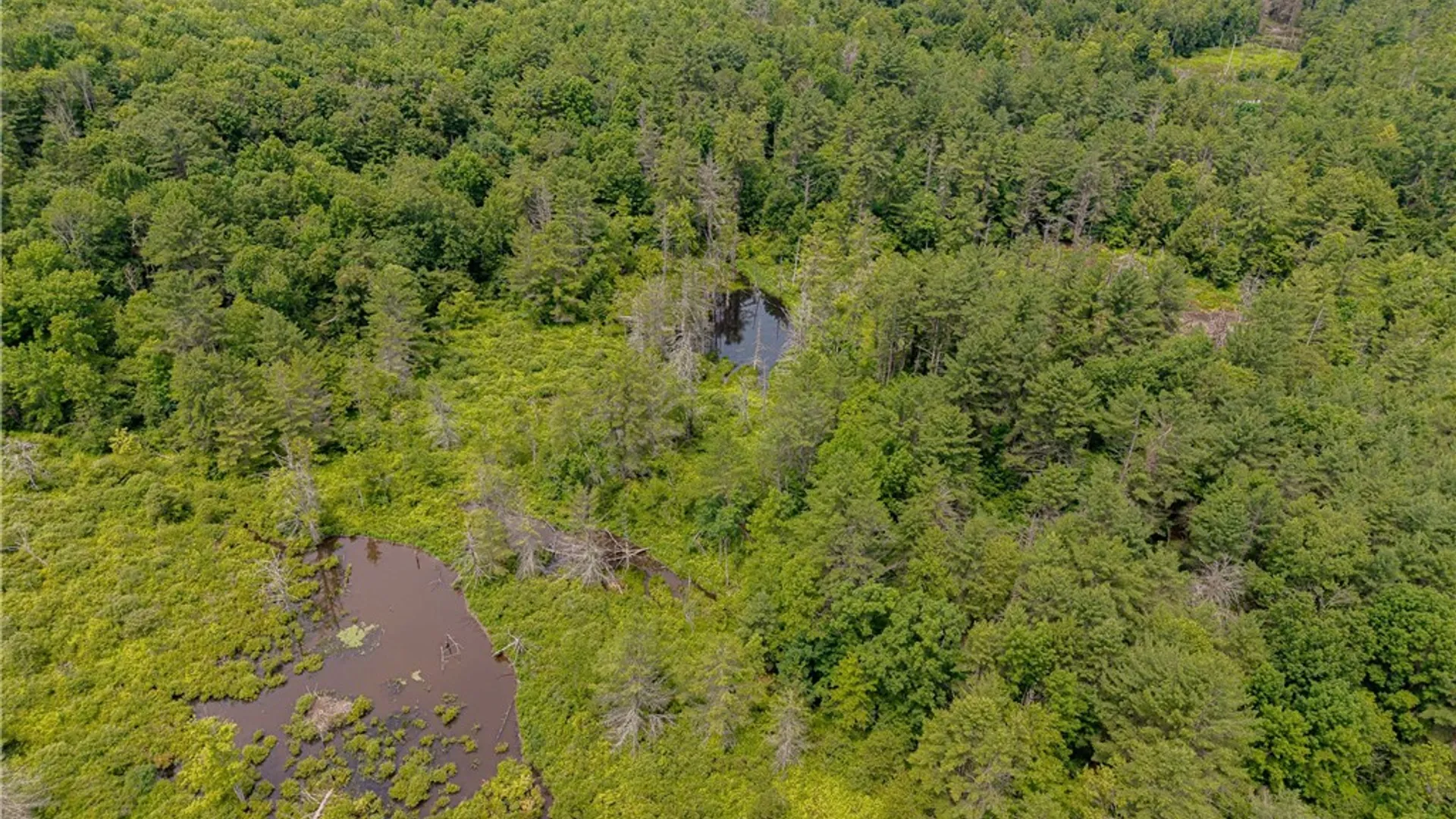 Property at Sheff Road, New Berlin, NY 13843 9