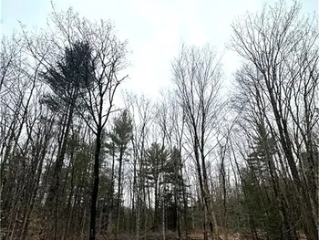 Property at 158 Potter Road, West Monroe, NY 13167