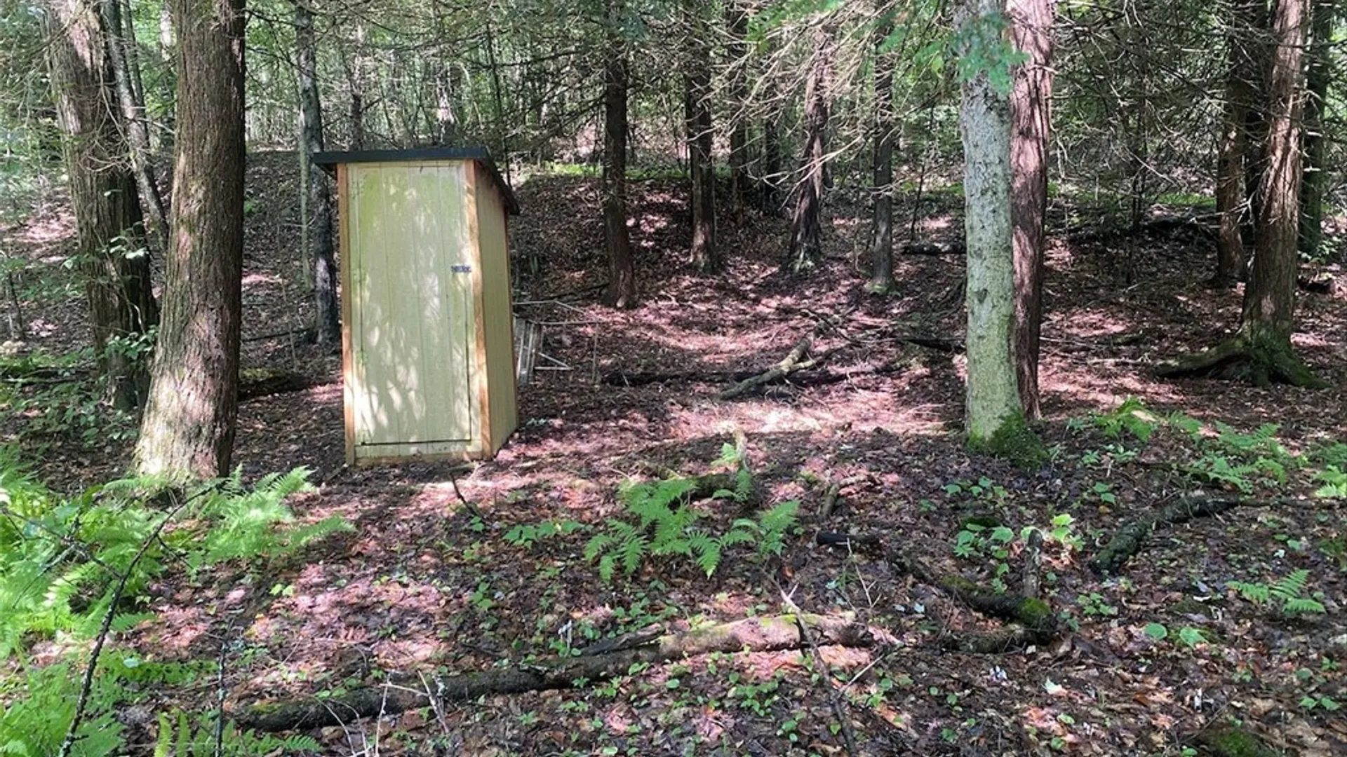 Property at Cr-38, Alma, NY 14708 11