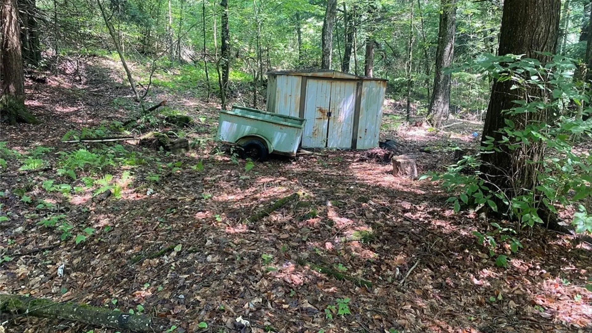 Property at Cr-38, Alma, NY 14708 12