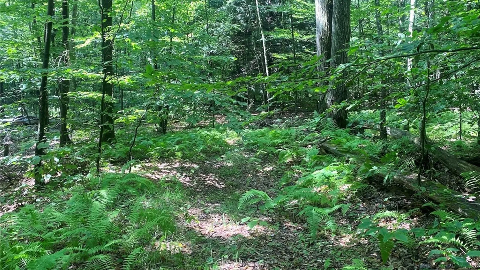 Property at Cr-38, Alma, NY 14708 20