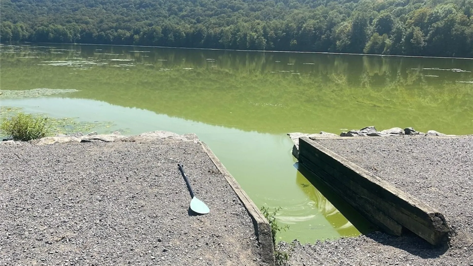 Property at Cr-38, Alma, NY 14708 24