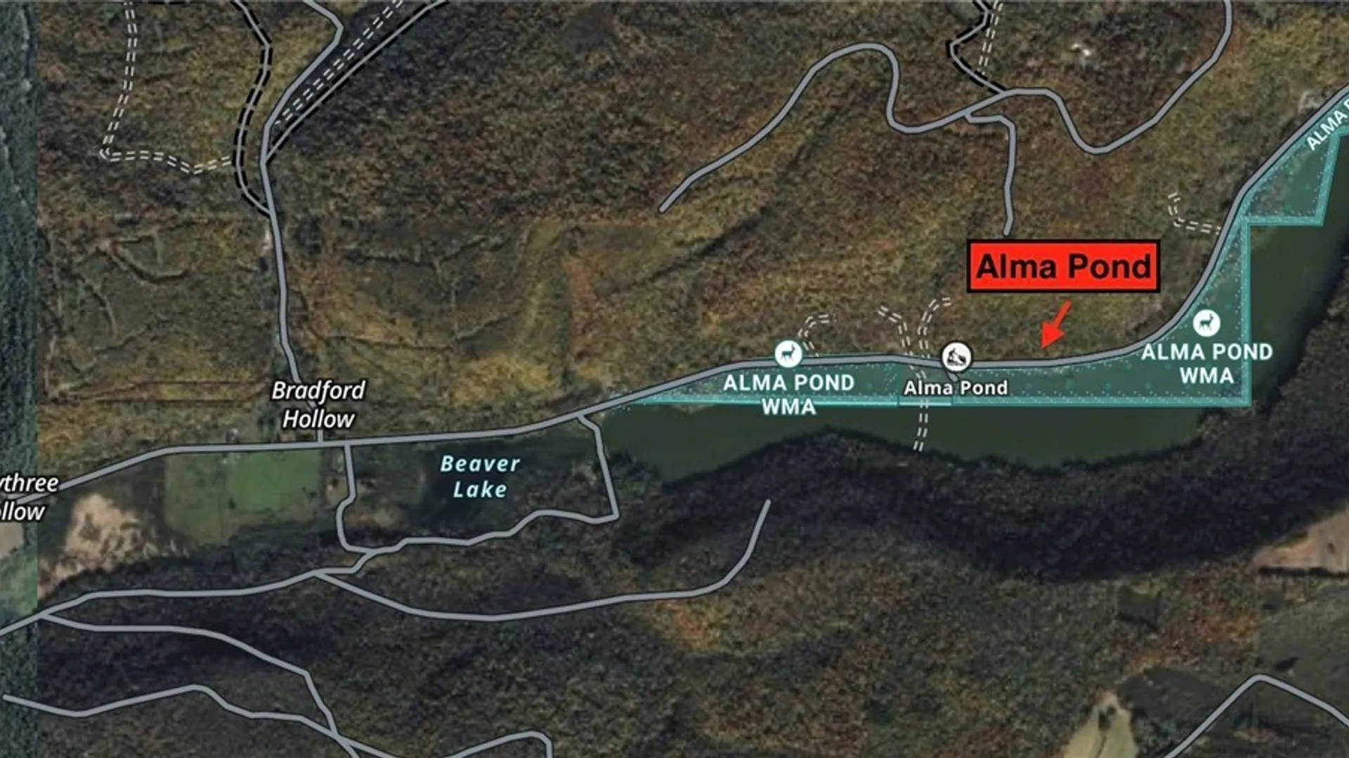 Property at Cr-38, Alma, NY 14708 26