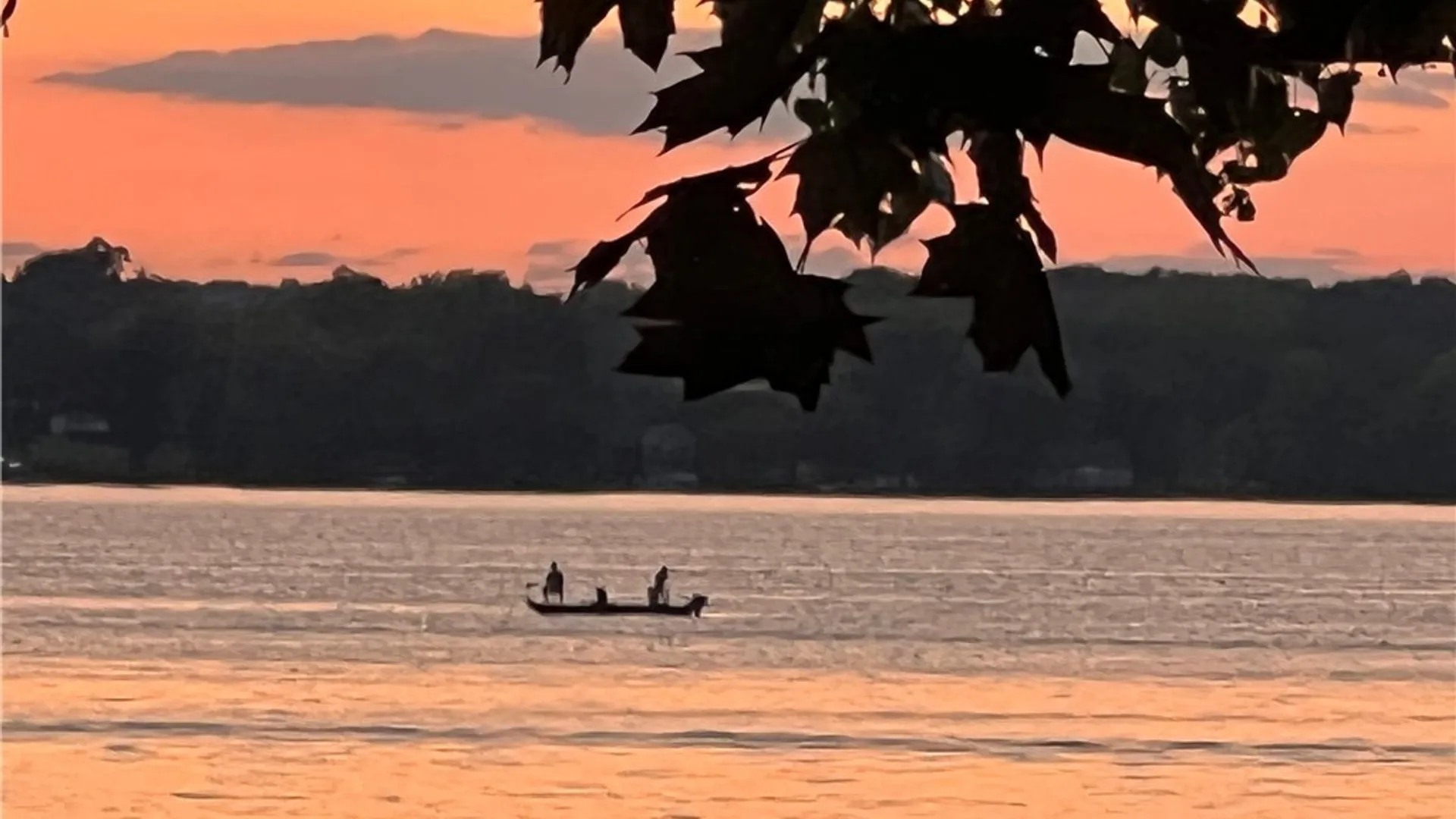 Property at 3625 State Route 90 Lot 4 & 4A&B, Ledyard, NY 13026 11