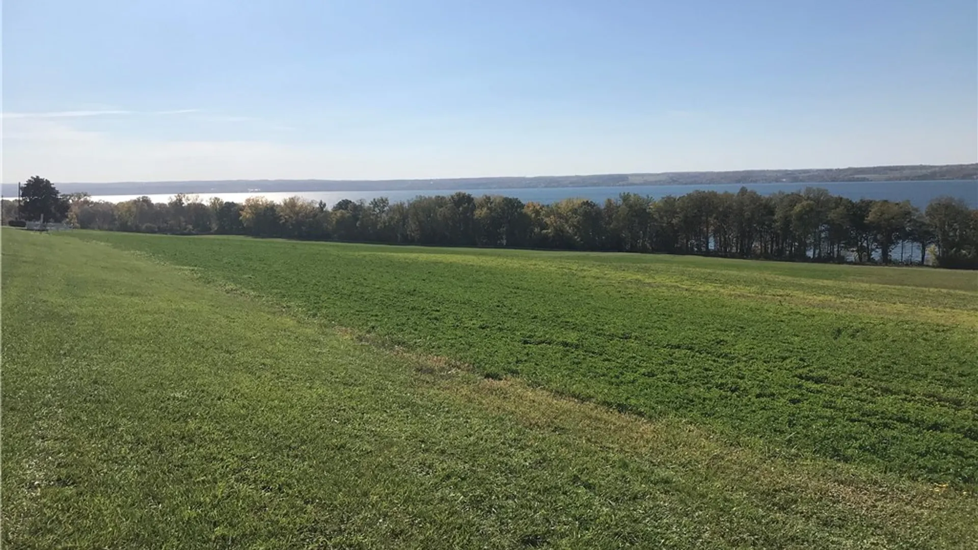 Property at 3625 State Route 90 Lot 4 & 4A&B, Ledyard, NY 13026 16