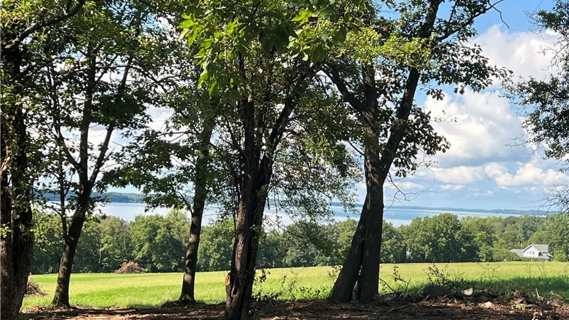 Property at 3625 State Route 90 Lot 4 & 4A&B, Ledyard, NY 13026 17