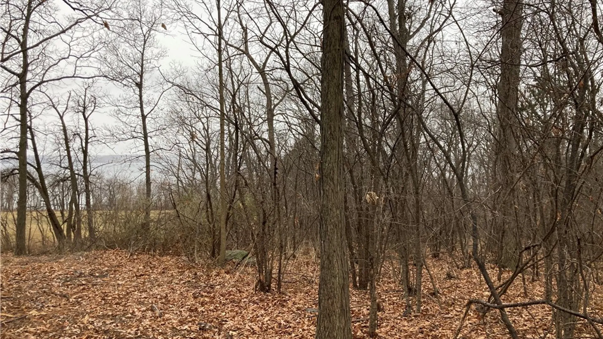 Property at 3625 State Route 90 Lot 4 & 4A&B, Ledyard, NY 13026 18