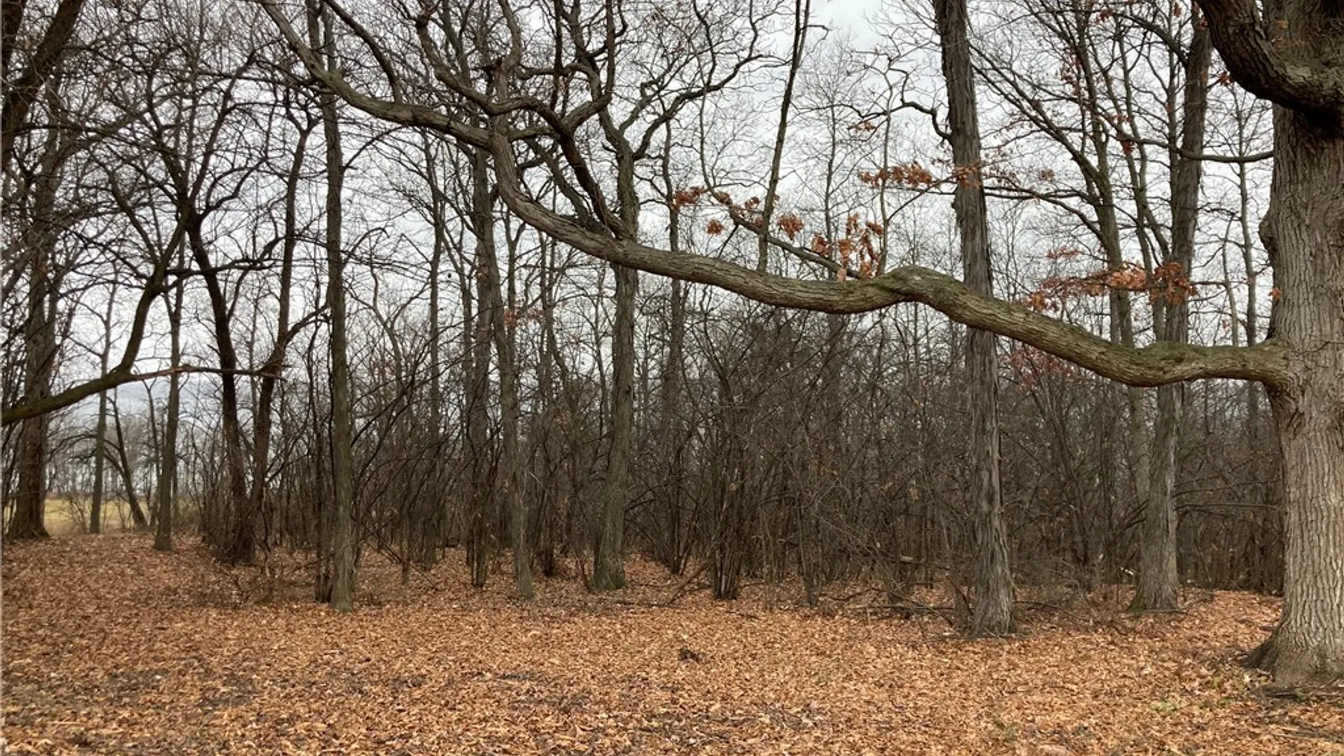 Property at 3625 State Route 90 Lot 4 & 4A&B, Ledyard, NY 13026 19