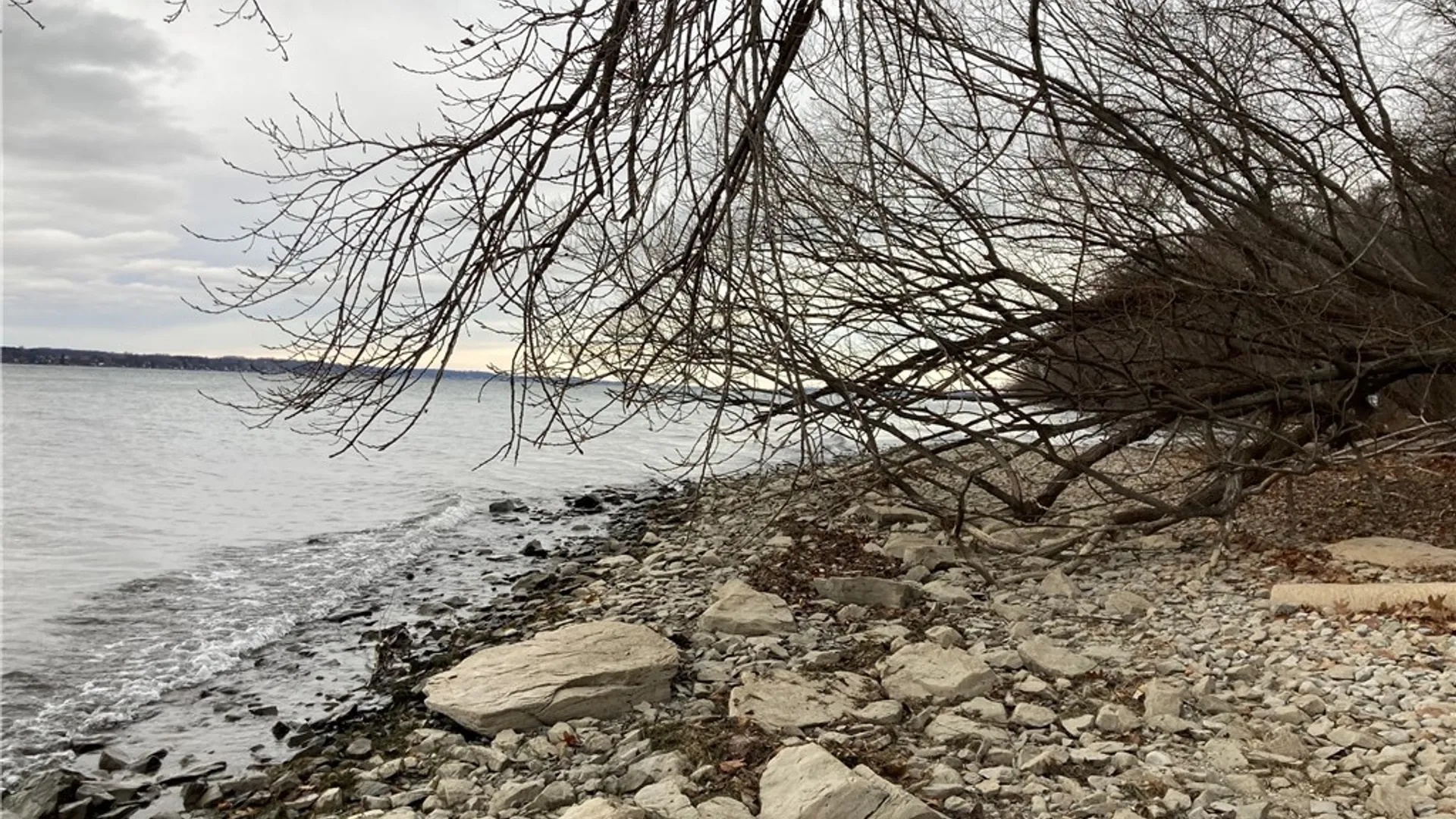 Property at 3625 State Route 90 Lot 4 & 4A&B, Ledyard, NY 13026 25