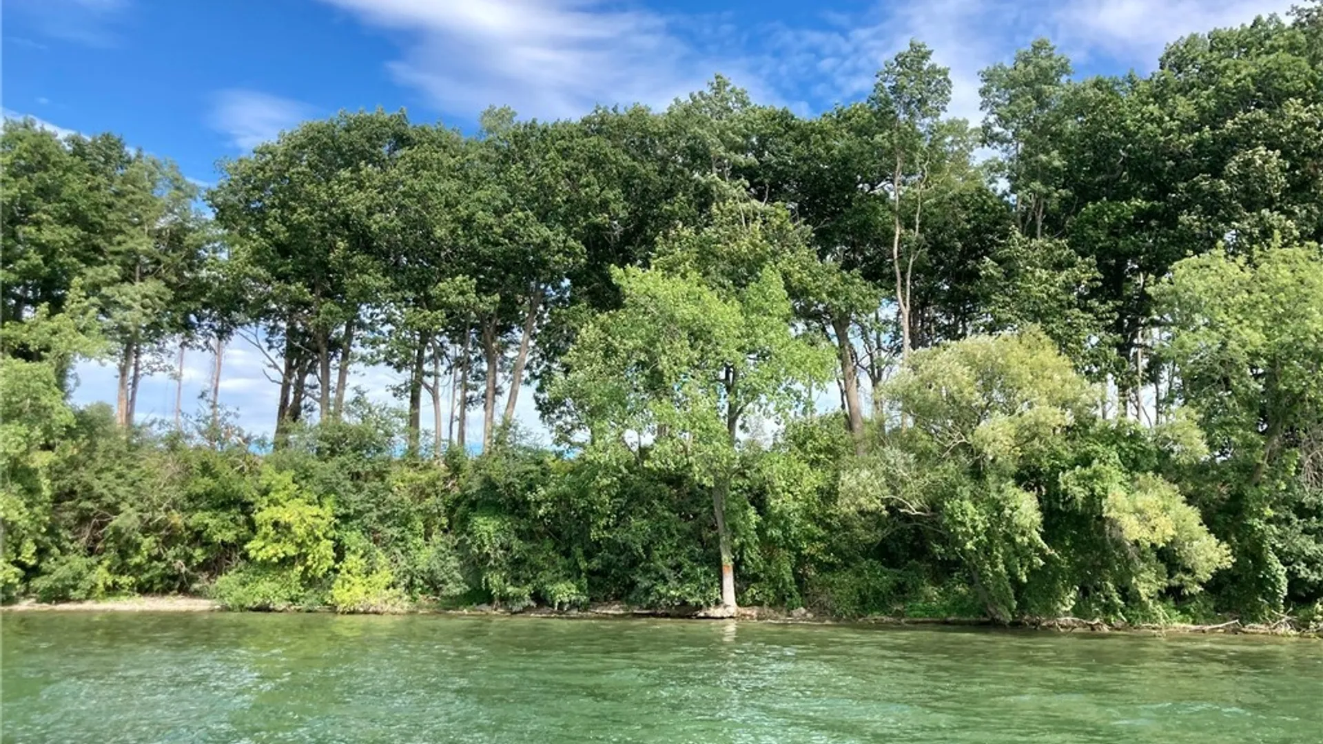 Property at 3625 State Route 90 Lot 4 & 4A&B, Ledyard, NY 13026 29