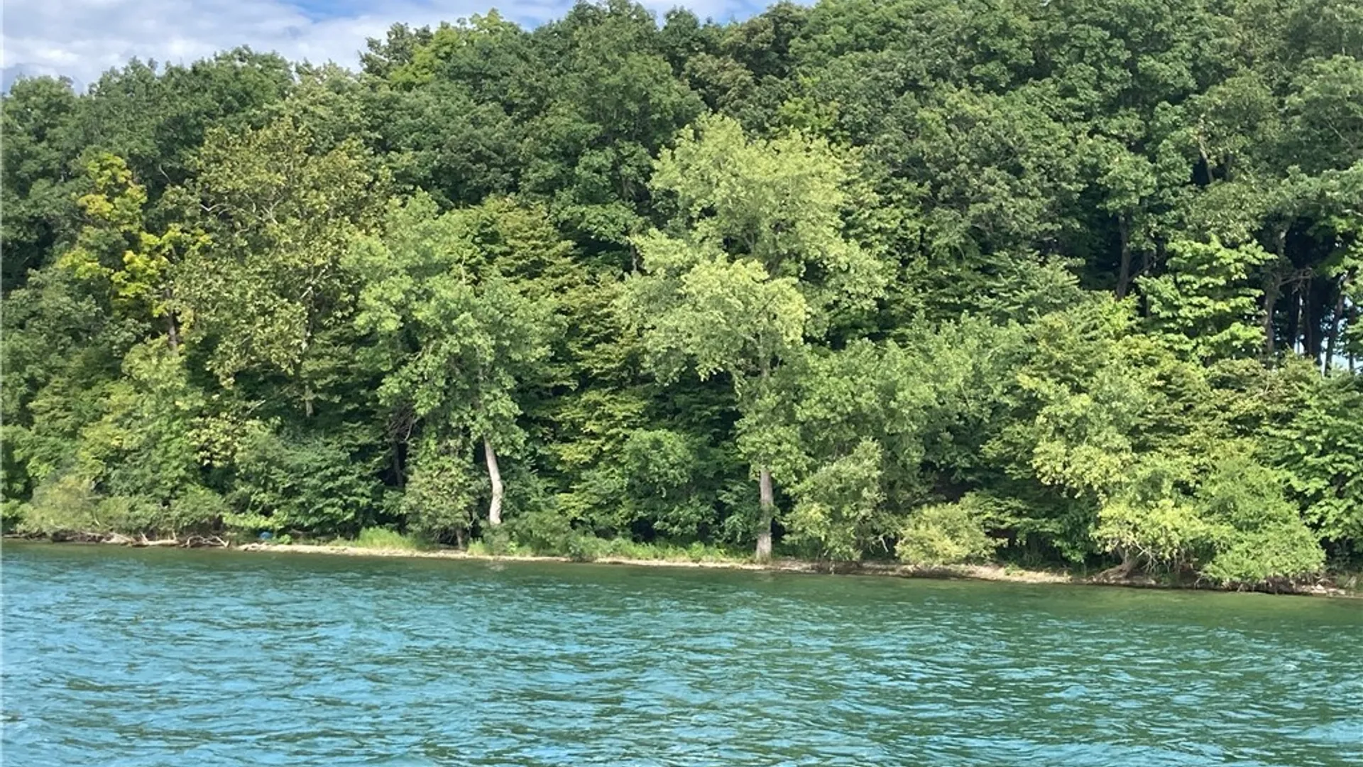 Property at 3625 State Route 90 Lot 4 & 4A&B, Ledyard, NY 13026 32