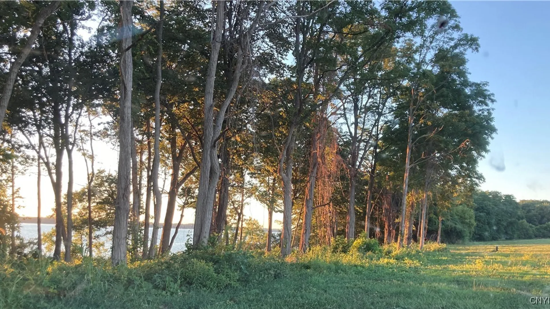 Property at 3625 State Route 90 Lot 4 & 4A&B, Ledyard, NY 13026 35